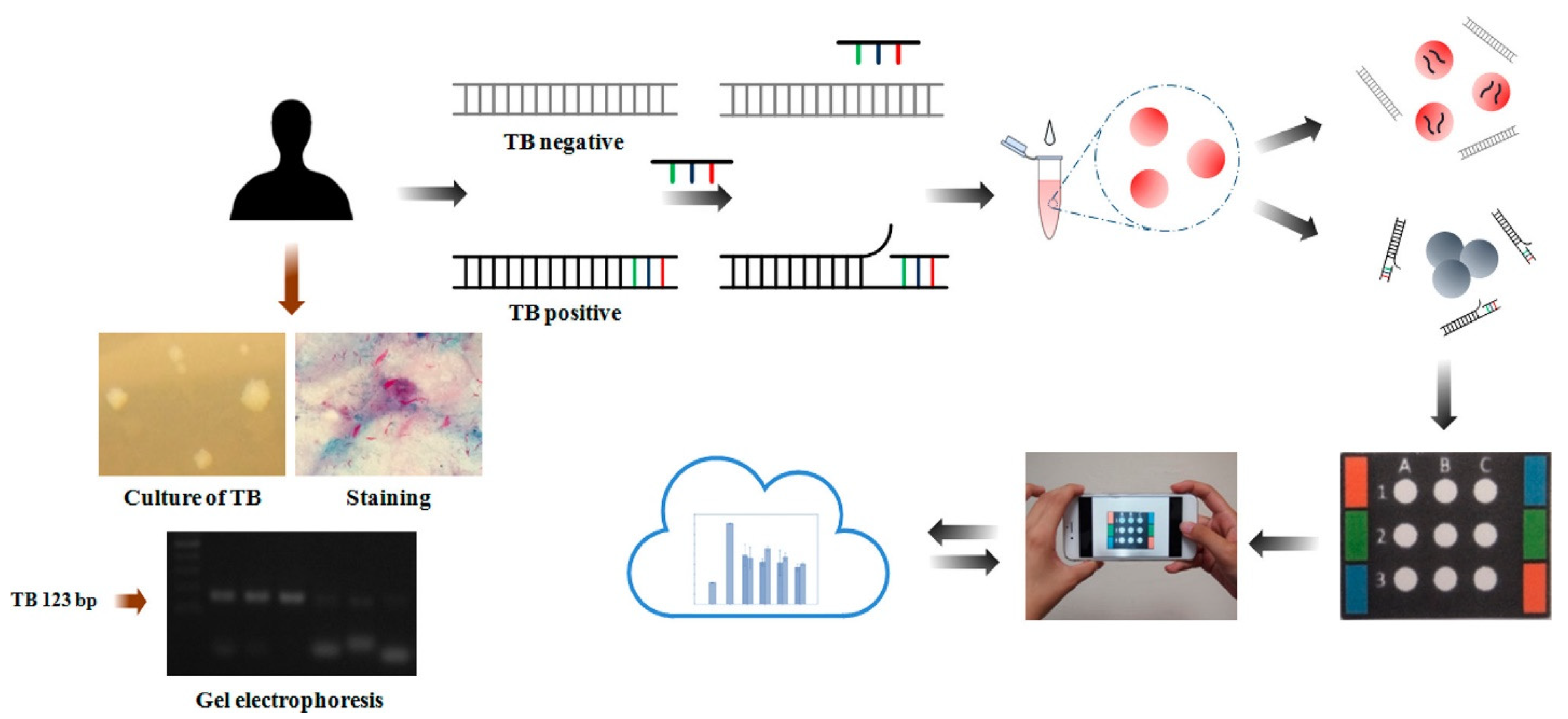Biosensors 13 00420 g004