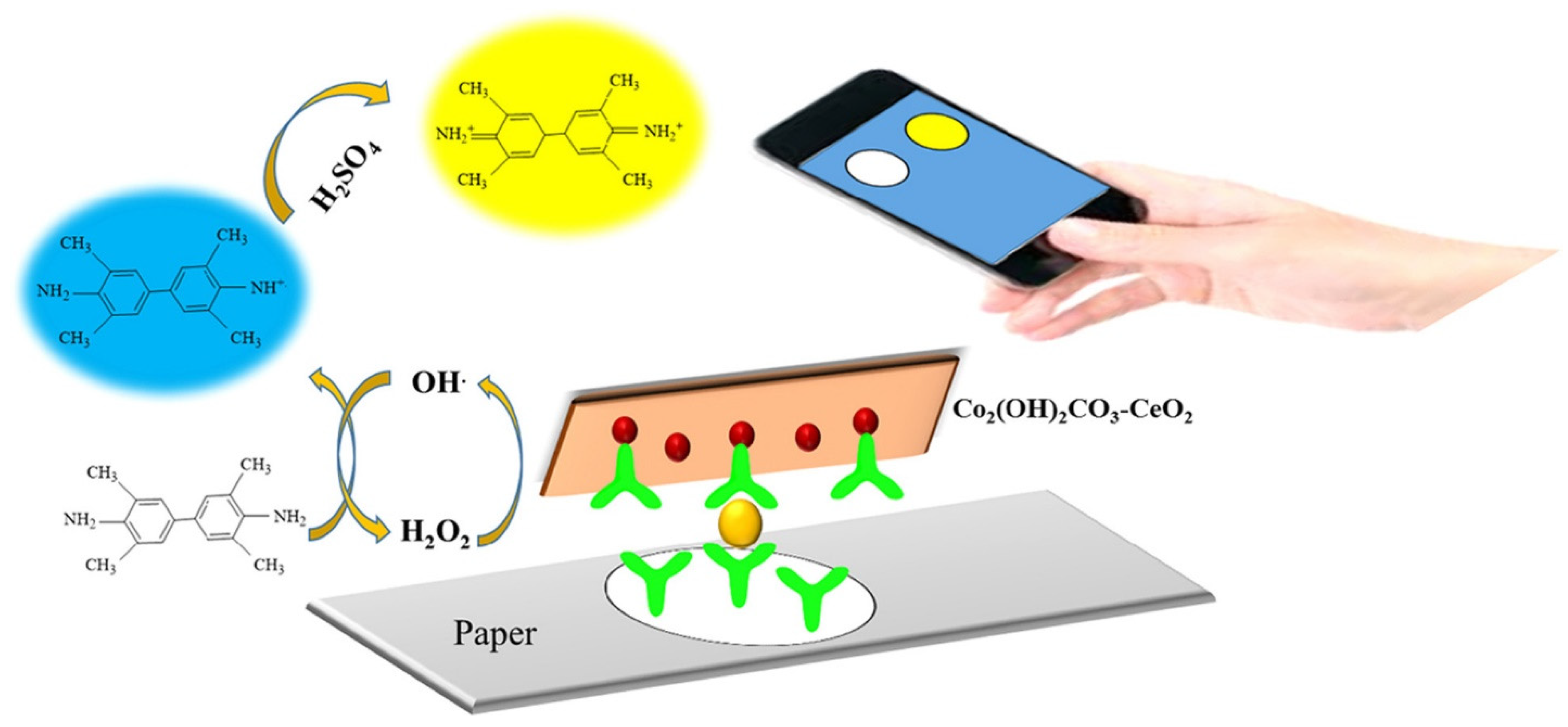 Biosensors 13 00420 g005