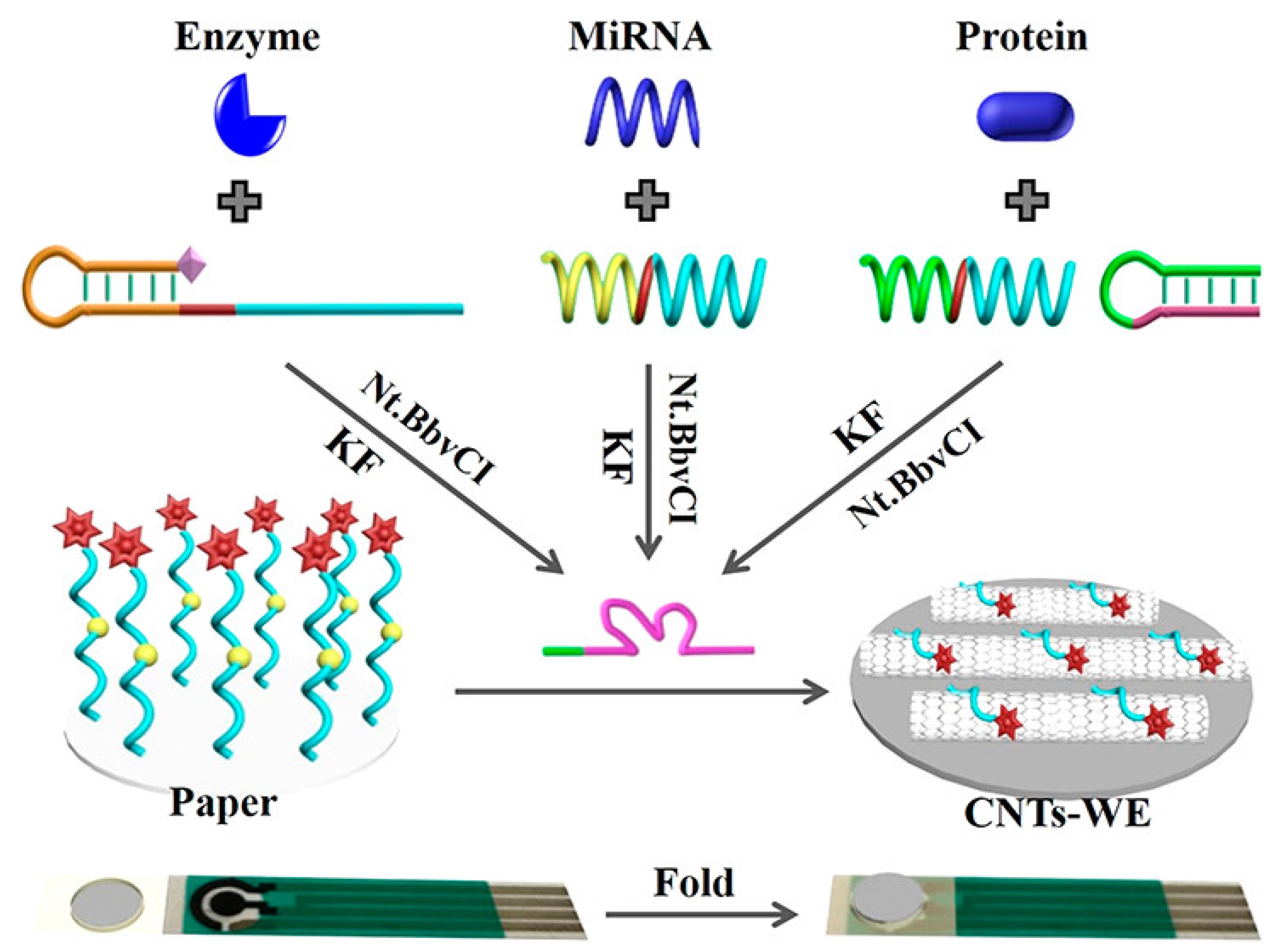Biosensors 13 00420 g007