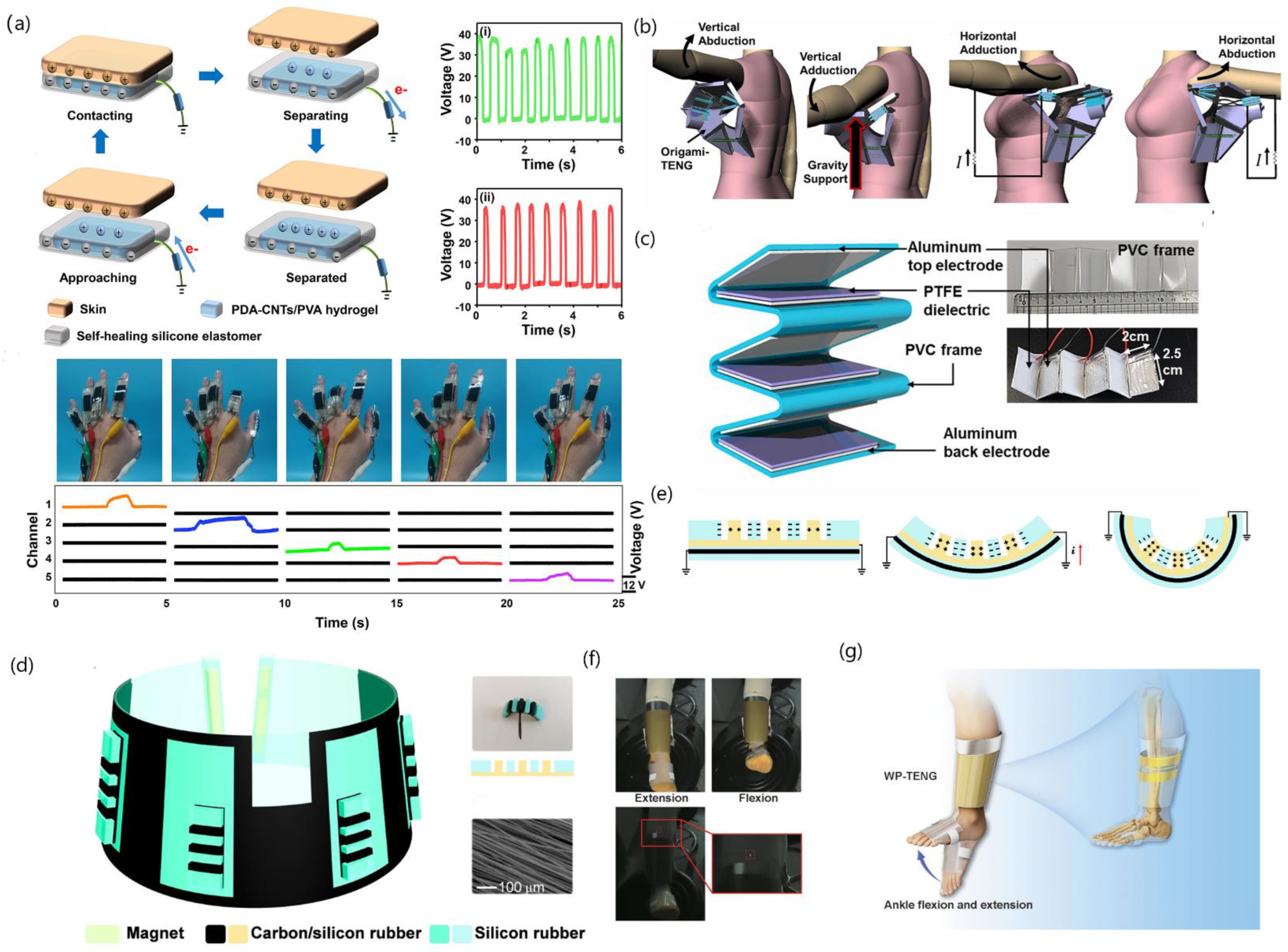 Biosensors | Free Full-Text | Biophysical Sensors Based on 
