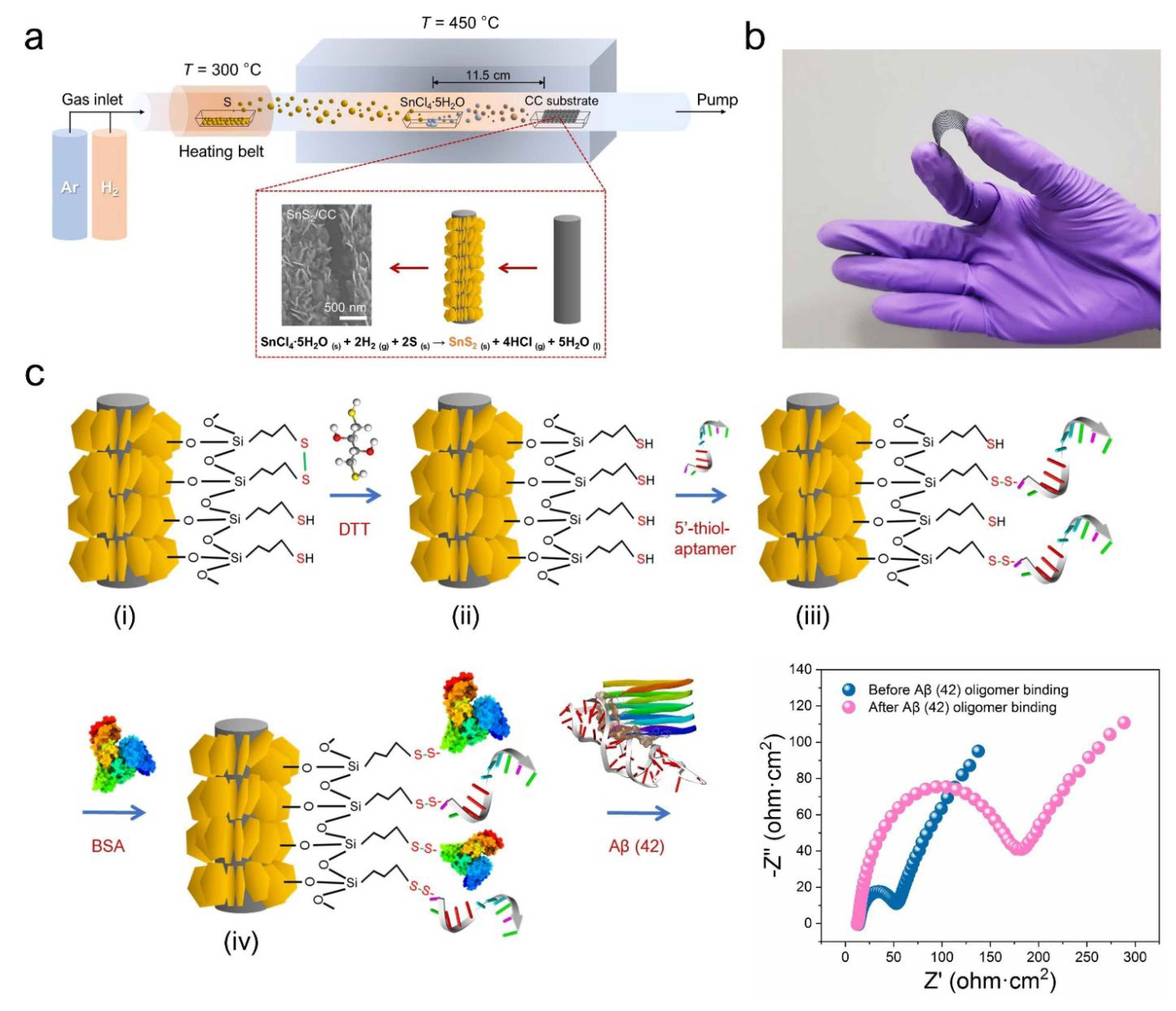 Biosensors 13 00424 g002