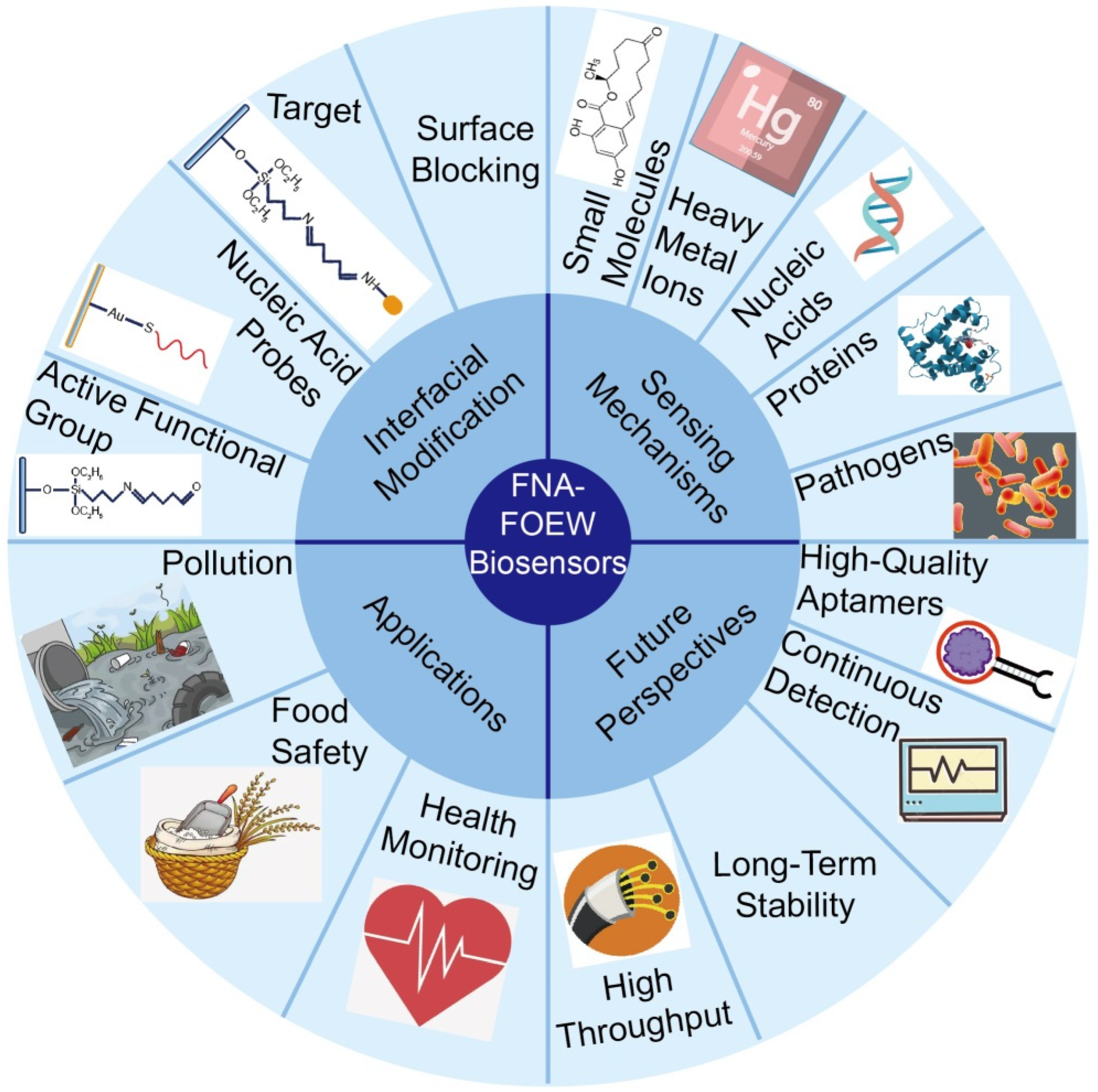 Biosensors 13 00425 g001