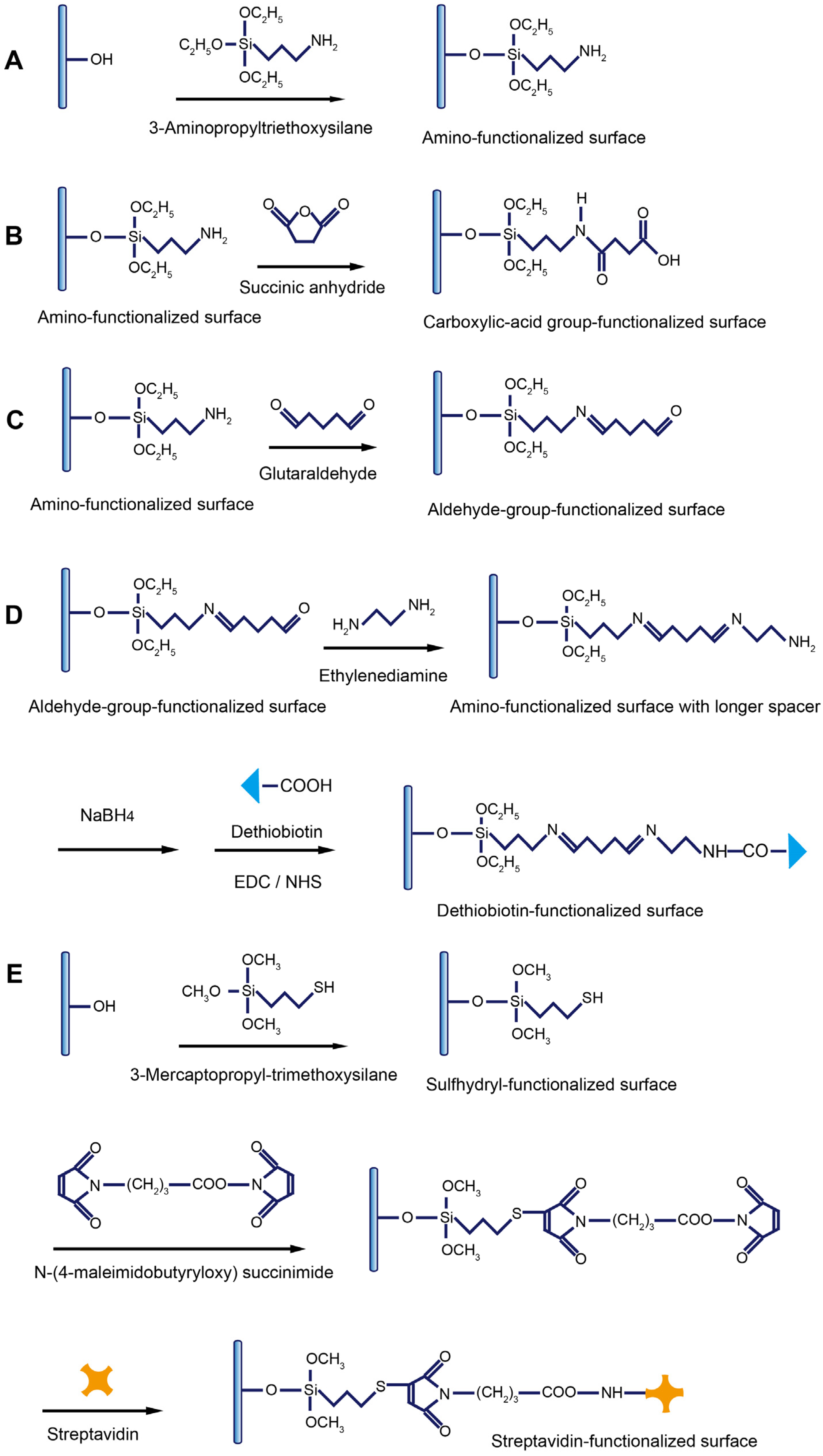 Biosensors 13 00425 g005
