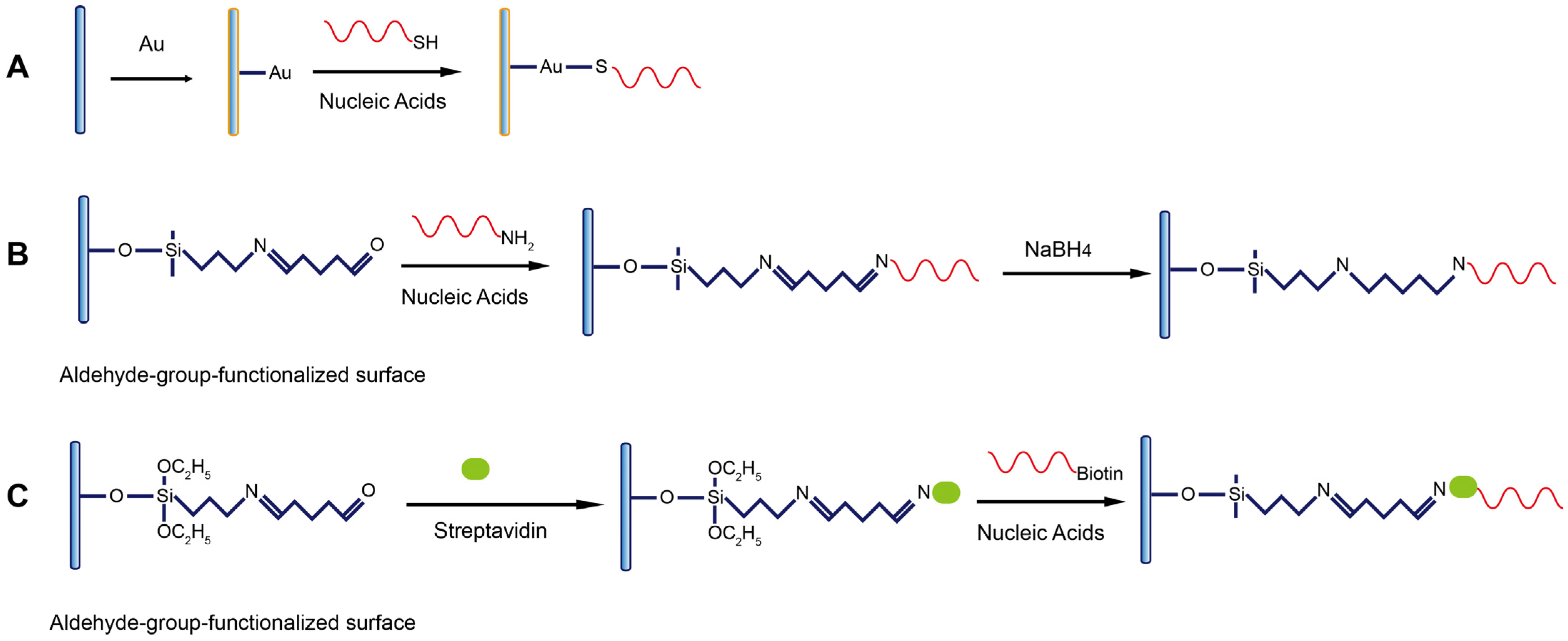 Biosensors 13 00425 g006