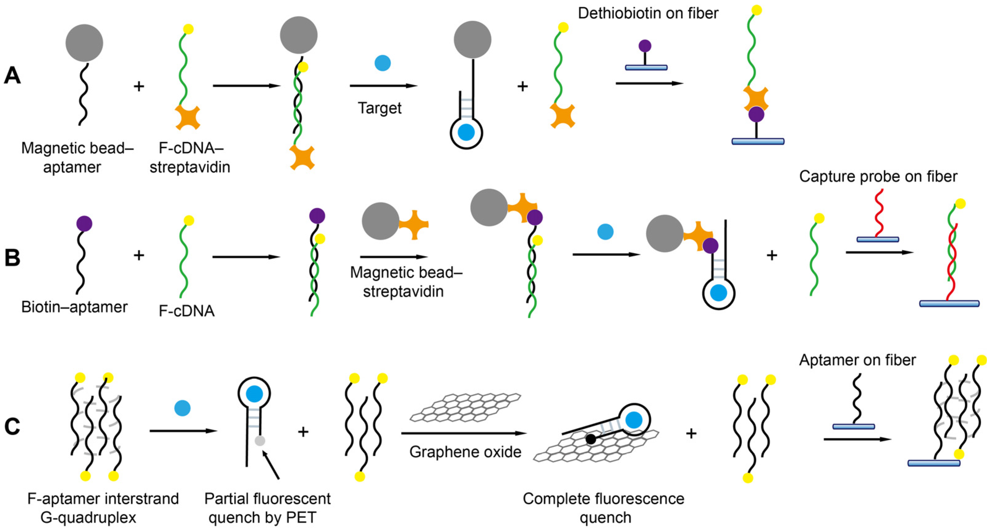 Biosensors 13 00425 g012