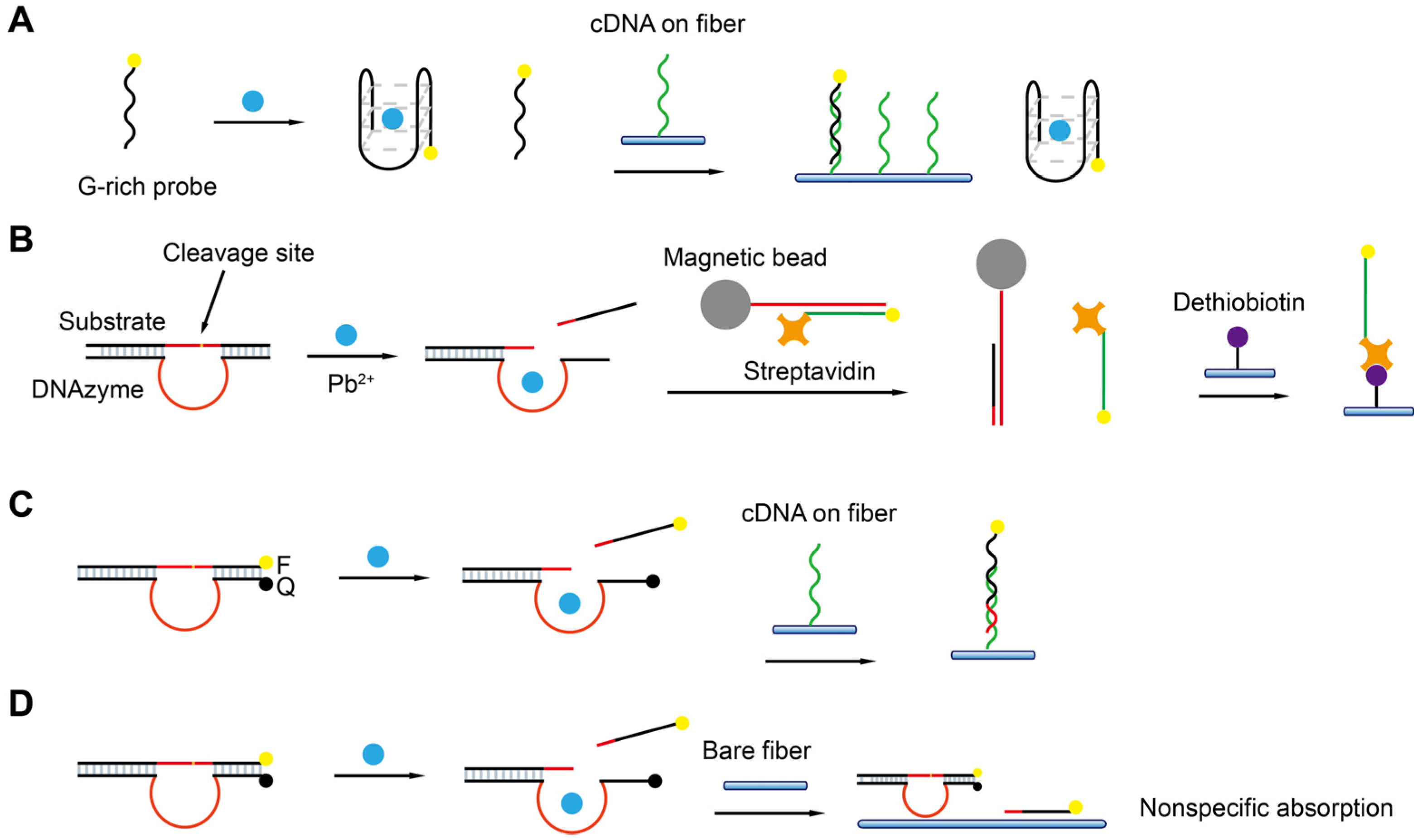 Biosensors 13 00425 g013