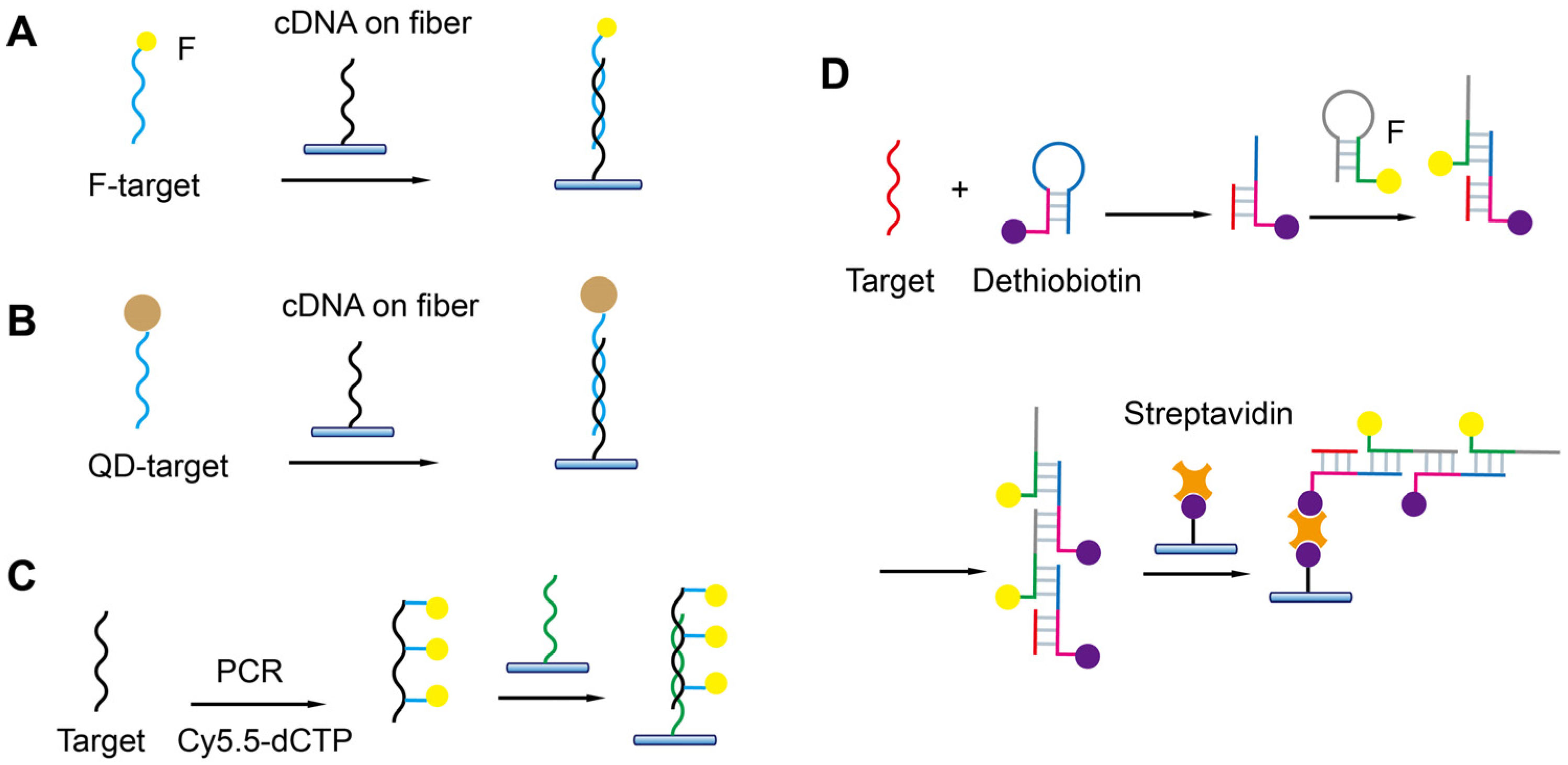 Biosensors 13 00425 g015
