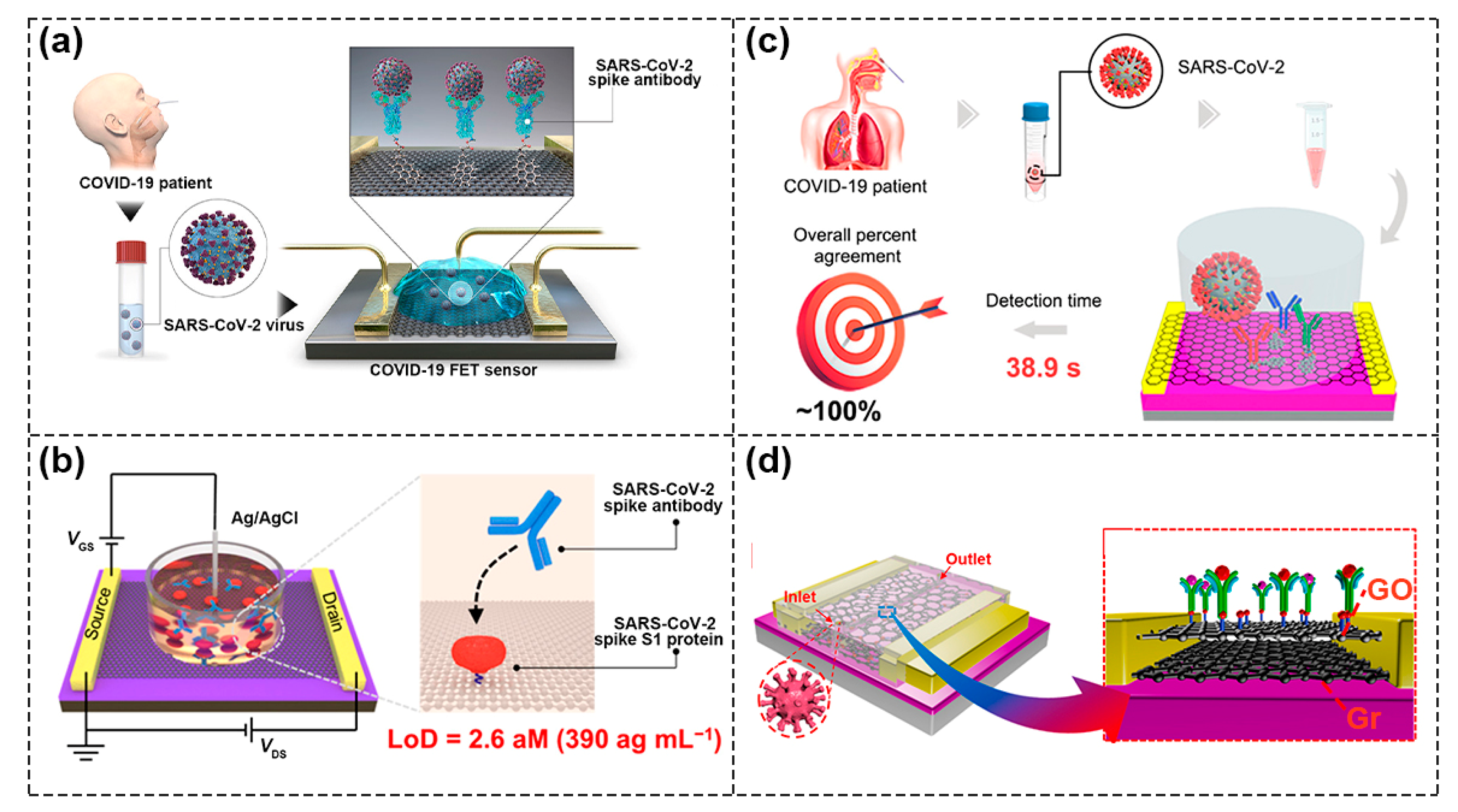 Biosensors Free FullText Recent Advances in Field Effect