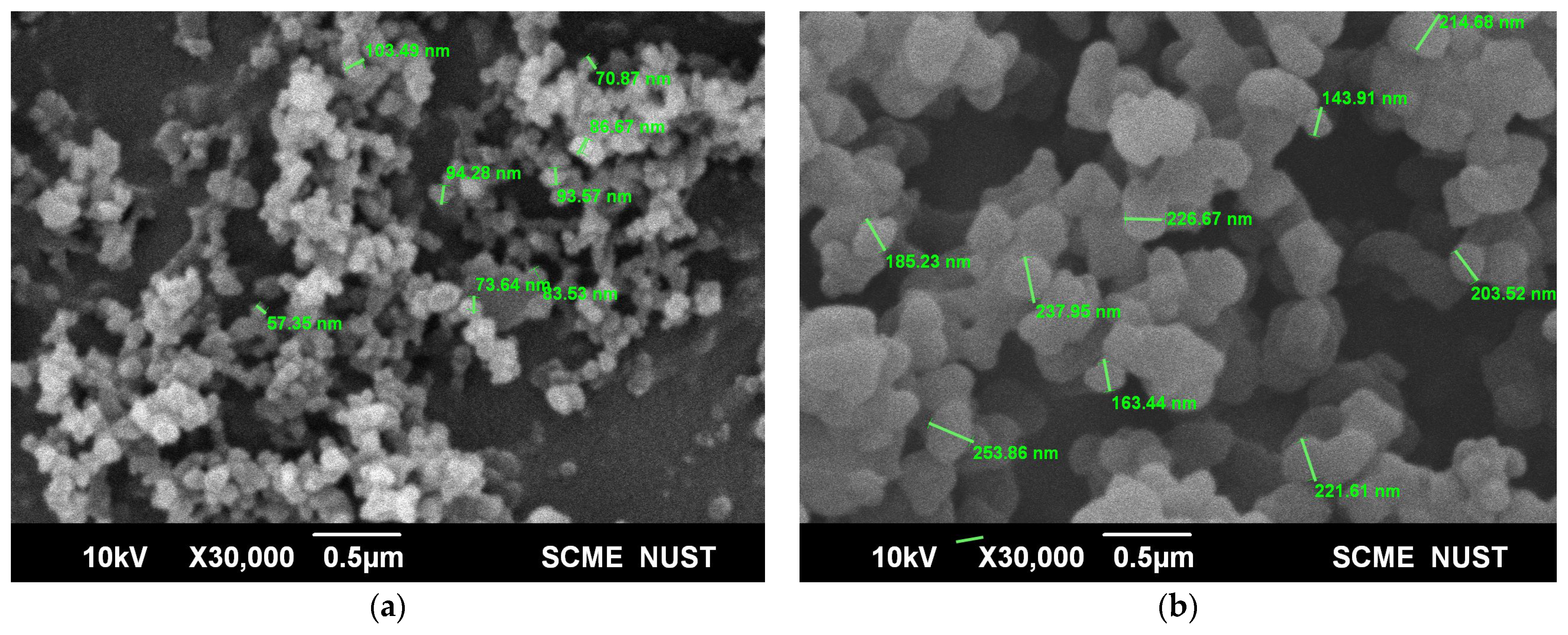 Biosensors 13 00429 g001 Biosensors 13 00429 g001