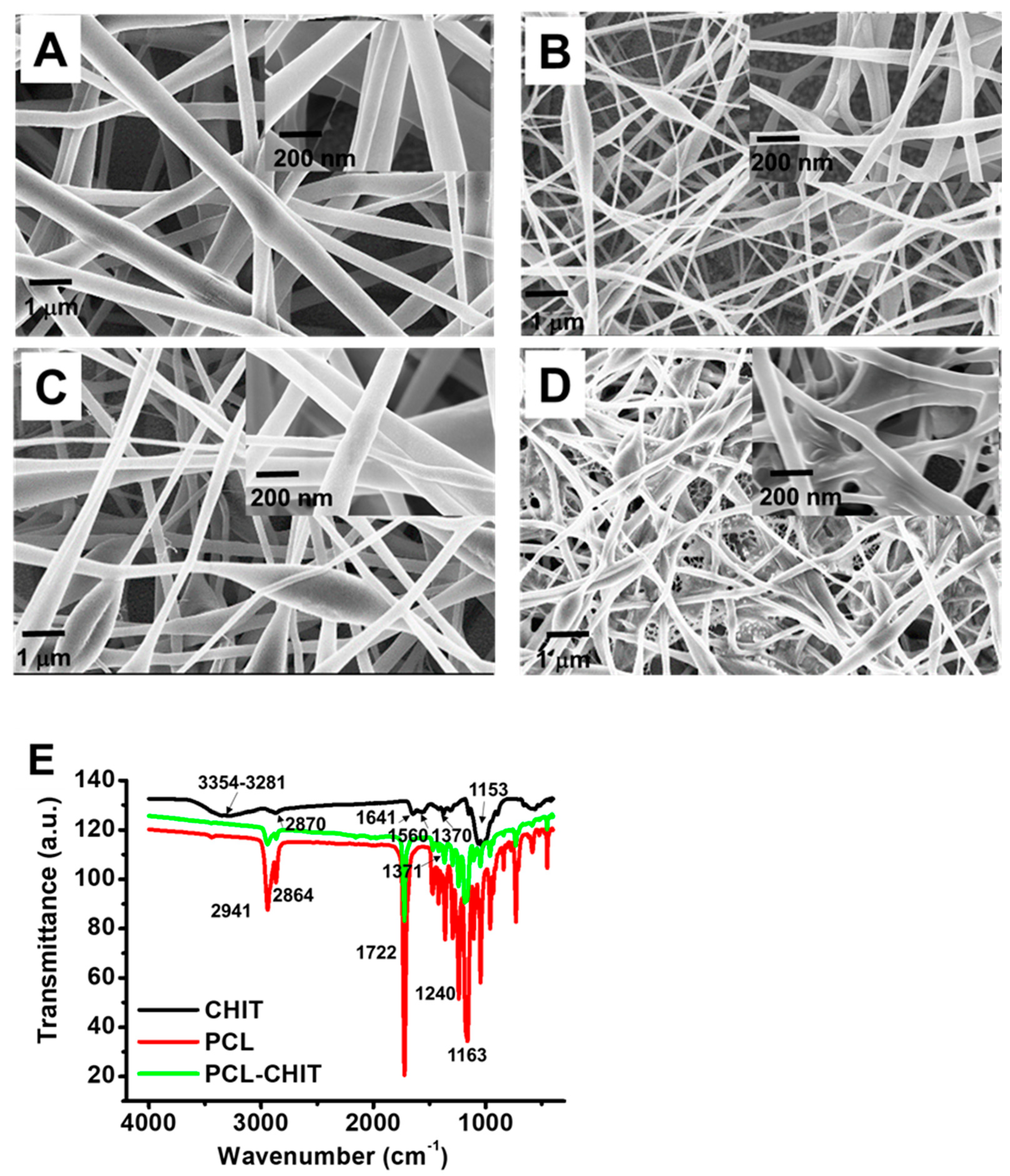 Biosensors 13 00430 g002