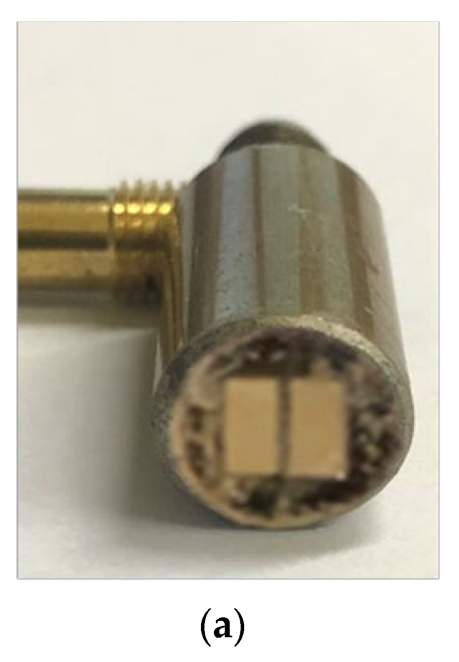 Biosensors 13 00431 g001a Biosensors 13 00431 g001a