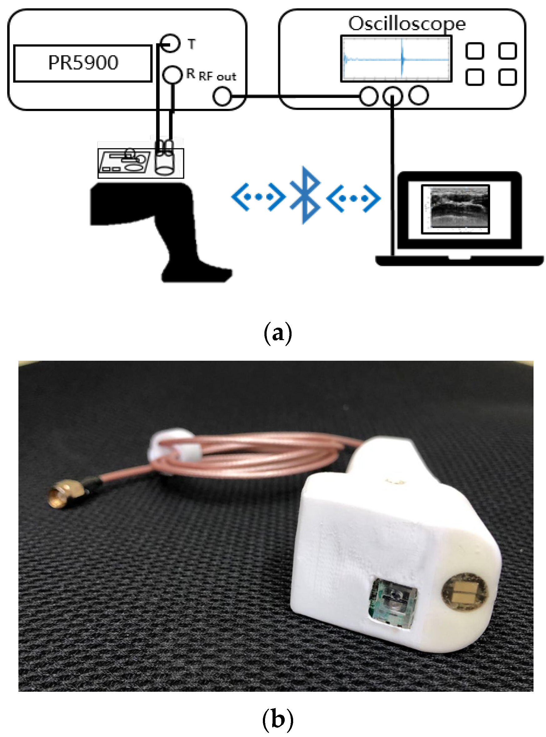 Biosensors 13 00431 g003 Biosensors 13 00431 g003