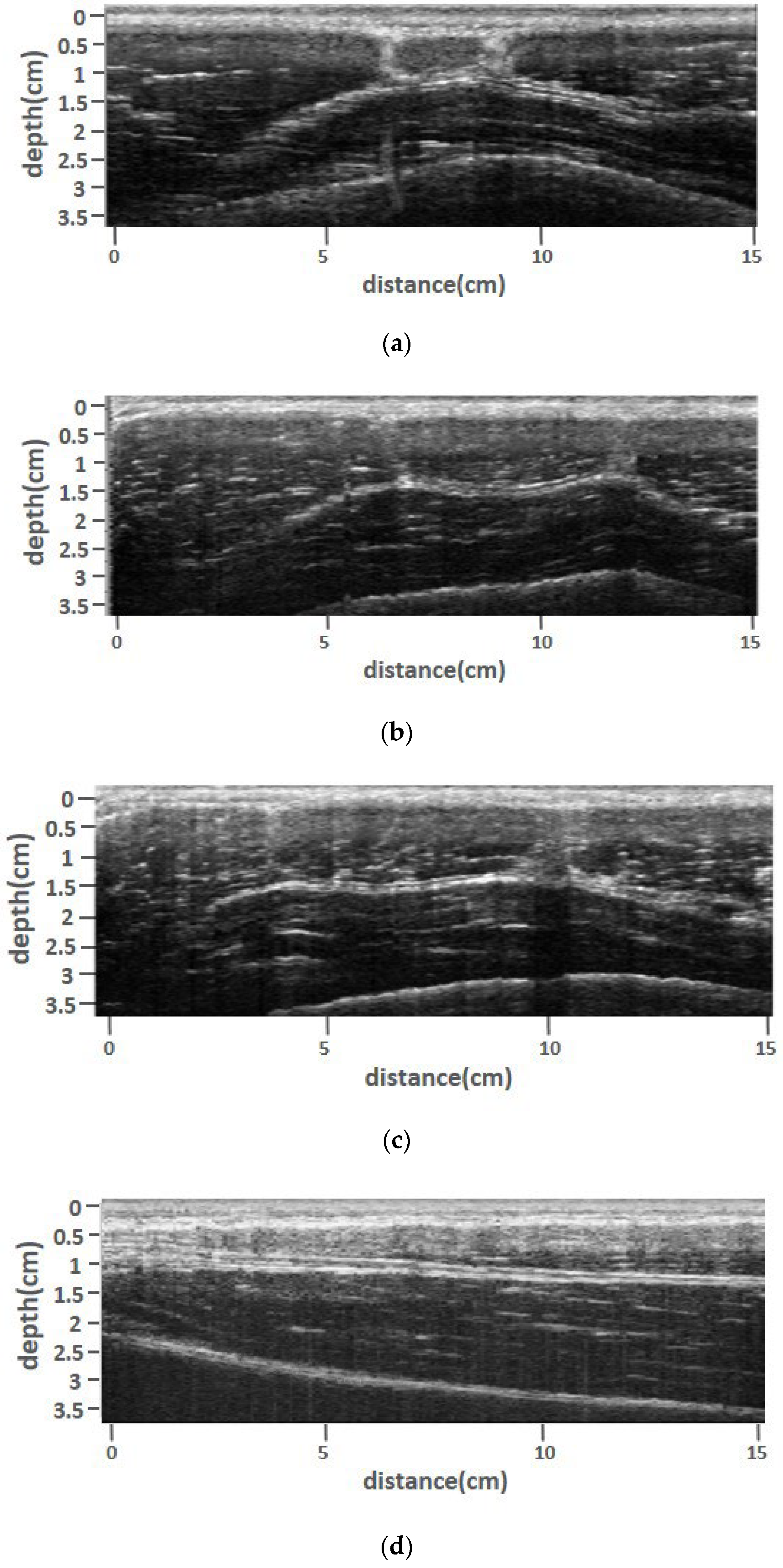 Biosensors 13 00431 g007a Biosensors 13 00431 g007a