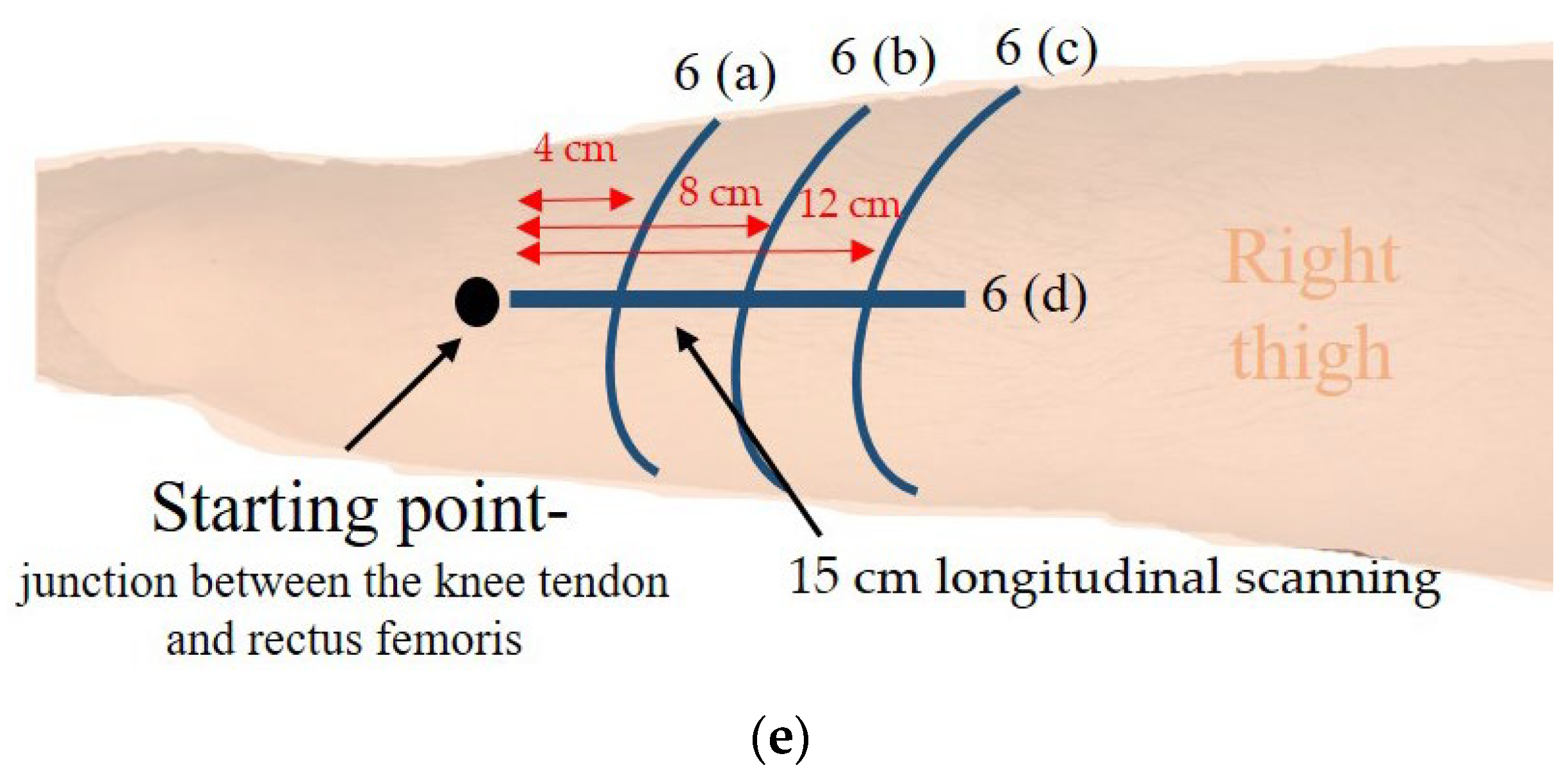 Biosensors 13 00431 g007b Biosensors 13 00431 g007b