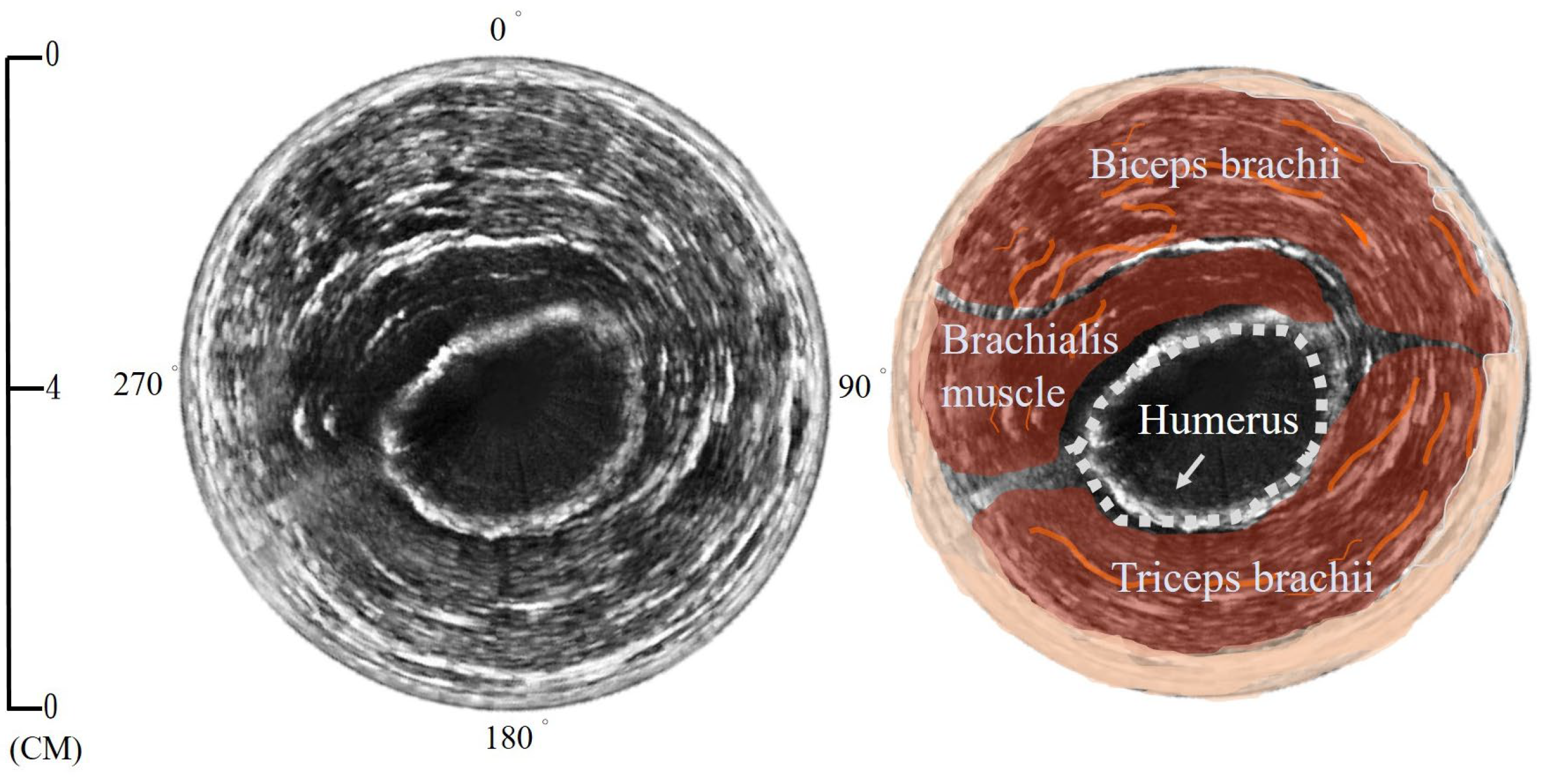 Biosensors 13 00431 g008 Biosensors 13 00431 g008
