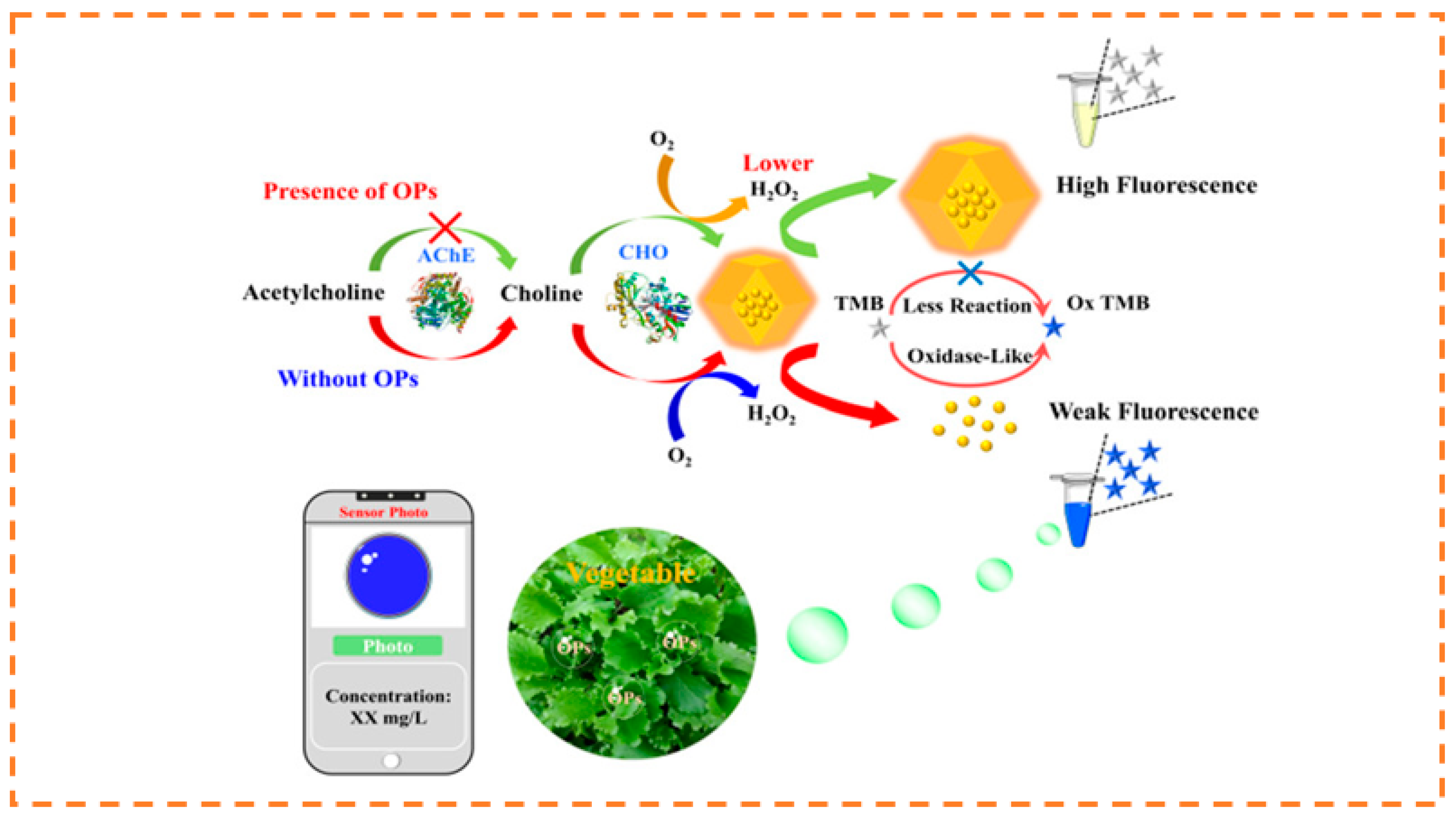 Biosensors 13 00435 g010