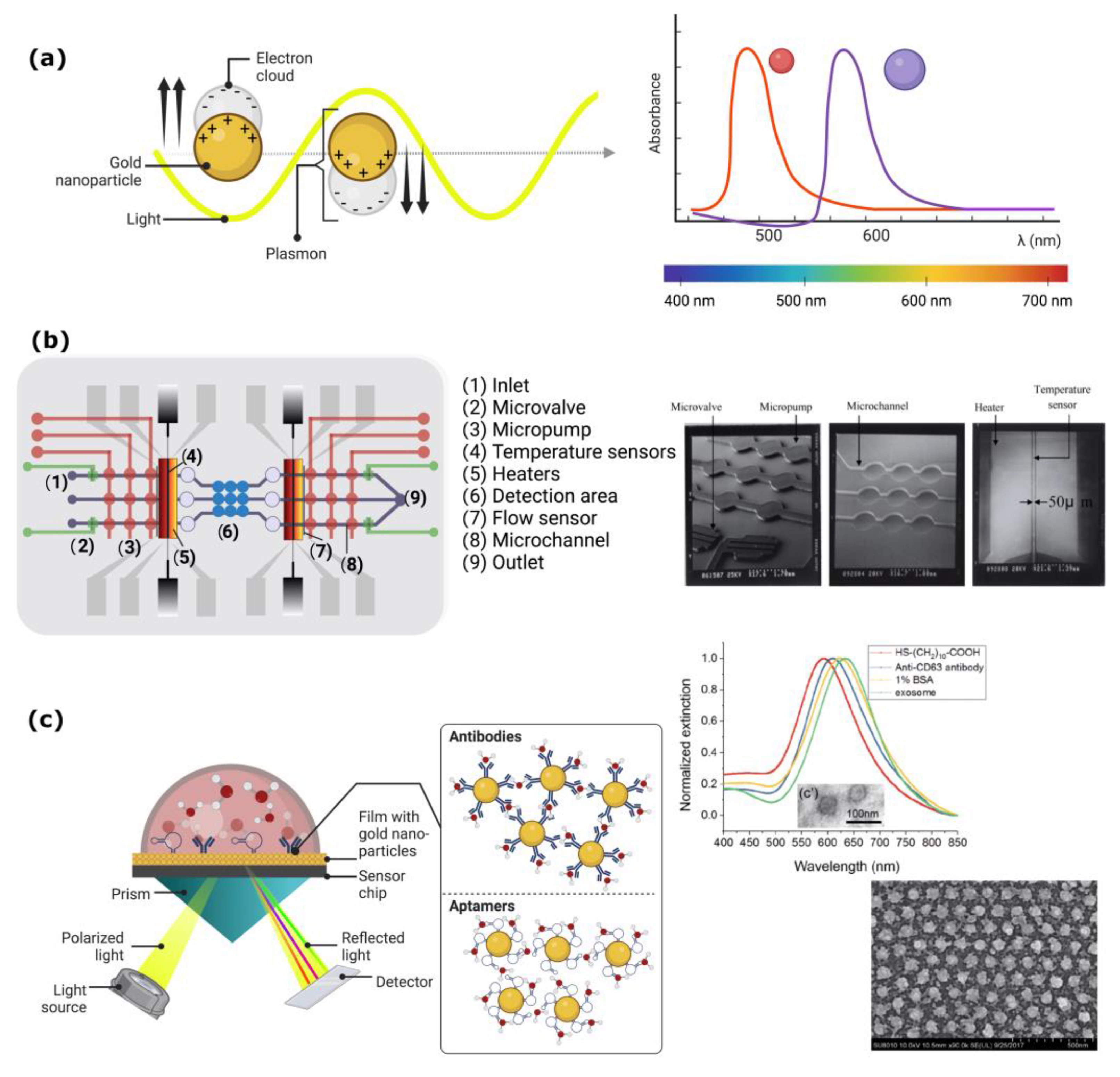 Biosensors 13 00439 g004 Biosensors 13 00439 g004