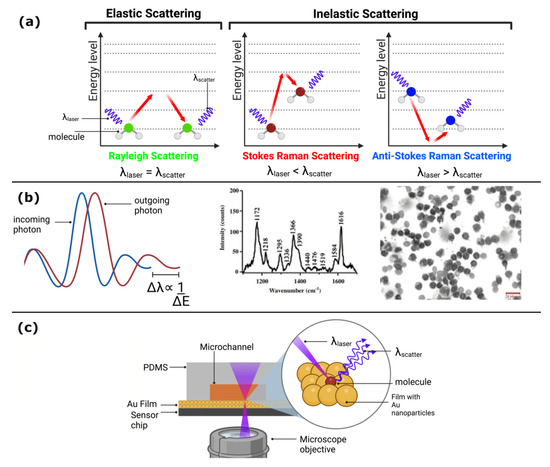 Optical Detection of Cancer Cells Using Lab-on-a-Chip