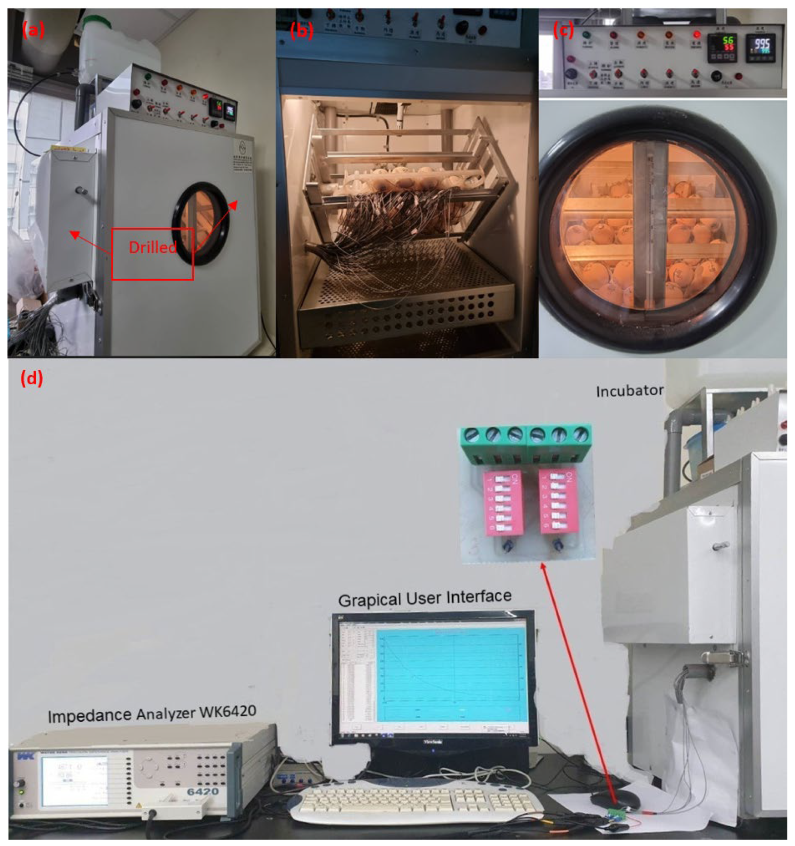Biosensors 13 00440 g002 Biosensors 13 00440 g002