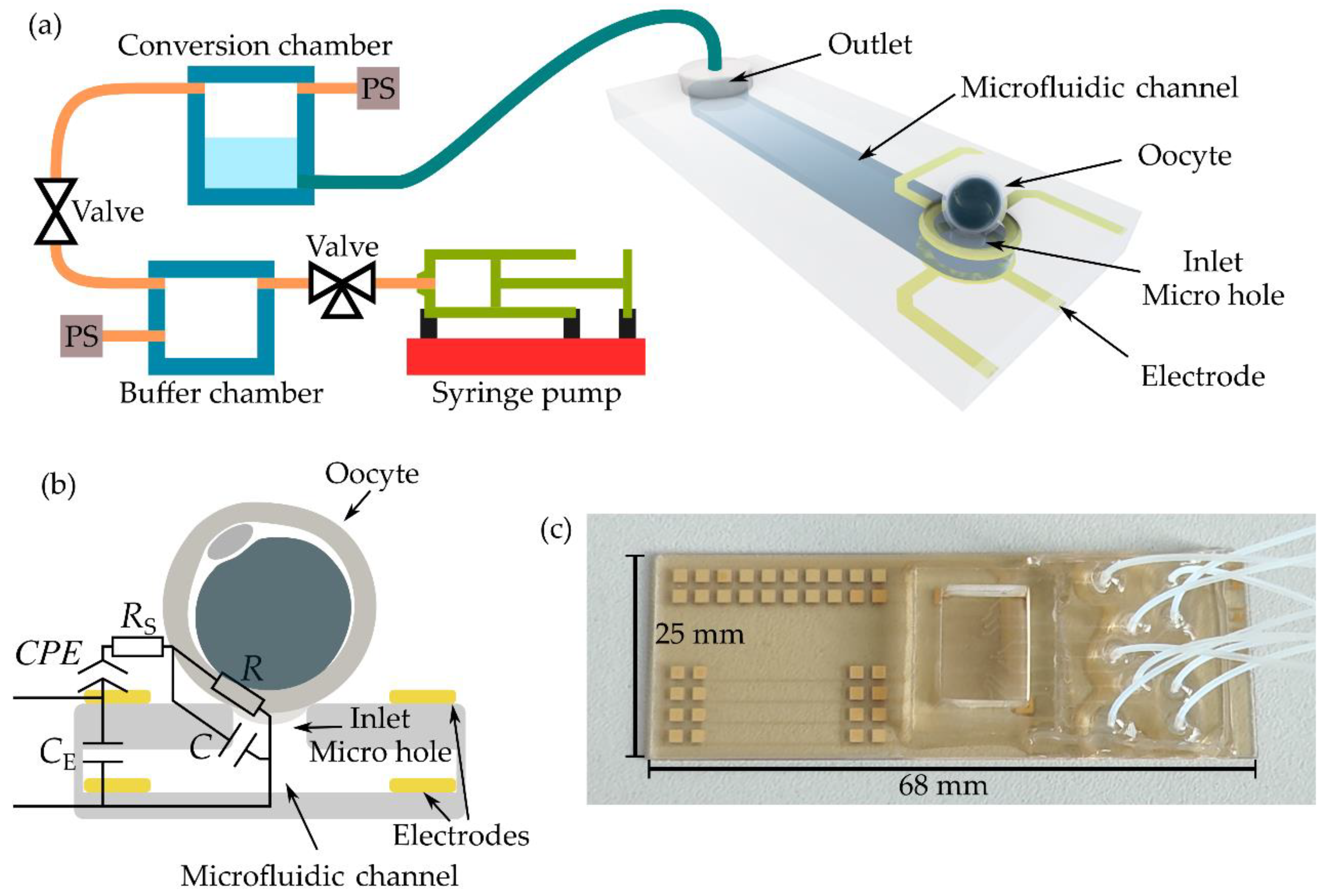 Biosensors 13 00442 g001
