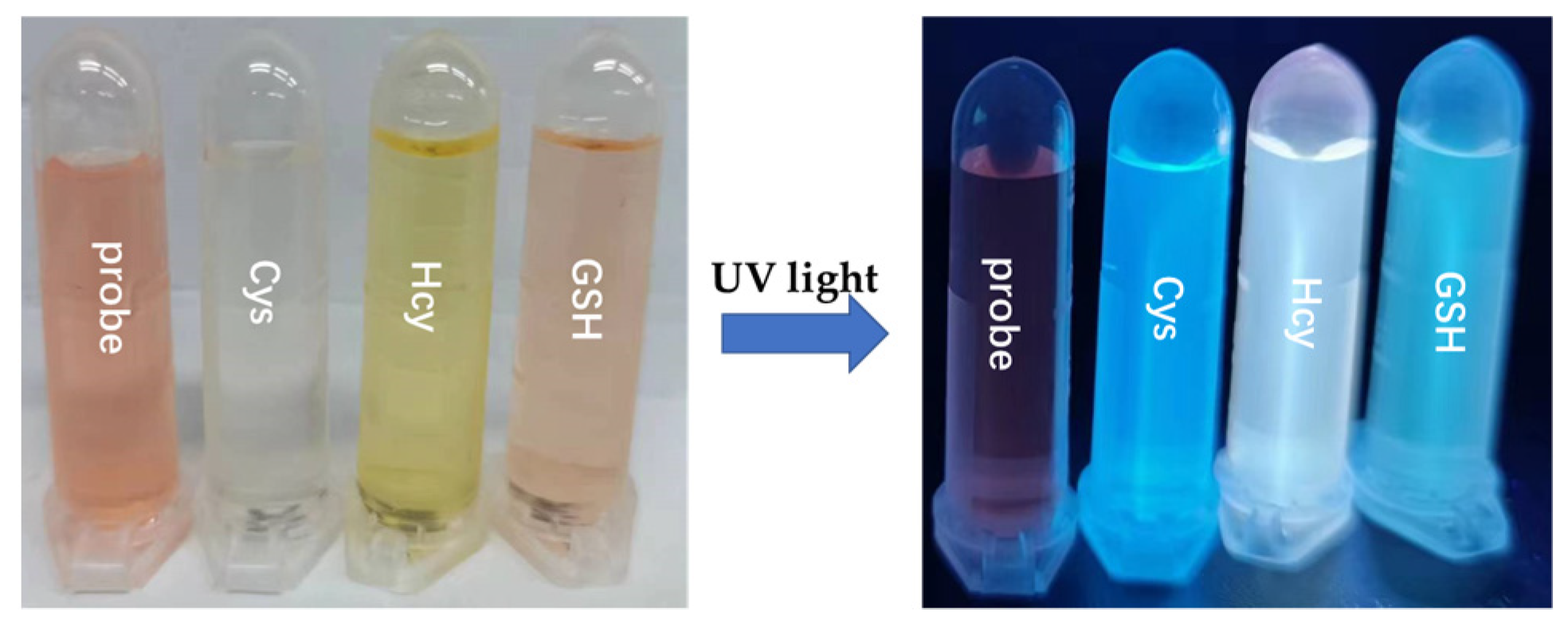 Biosensors 13 00447 g001