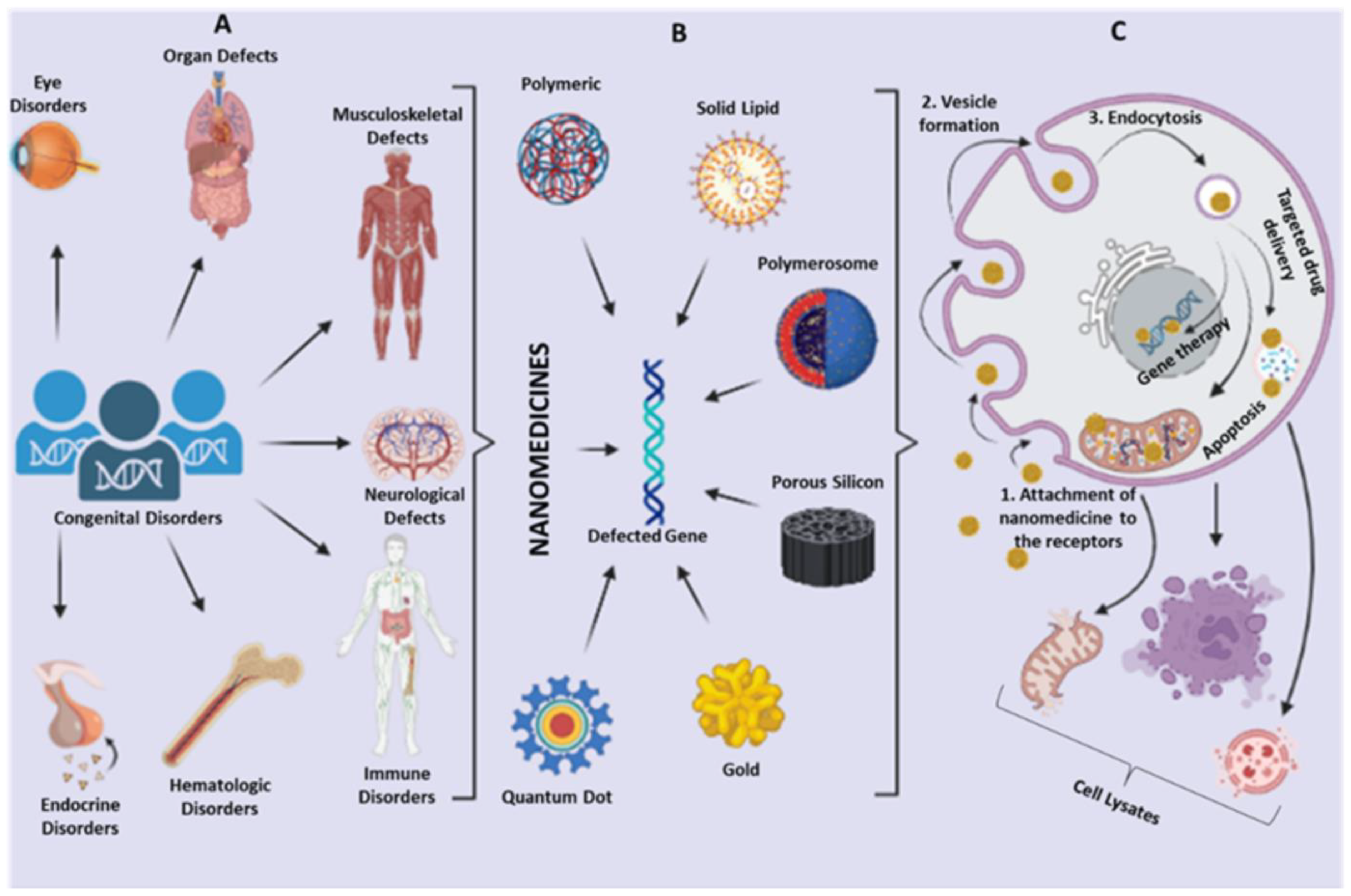 Biosensors 13 00450 g002 Biosensors 13 00450 g002