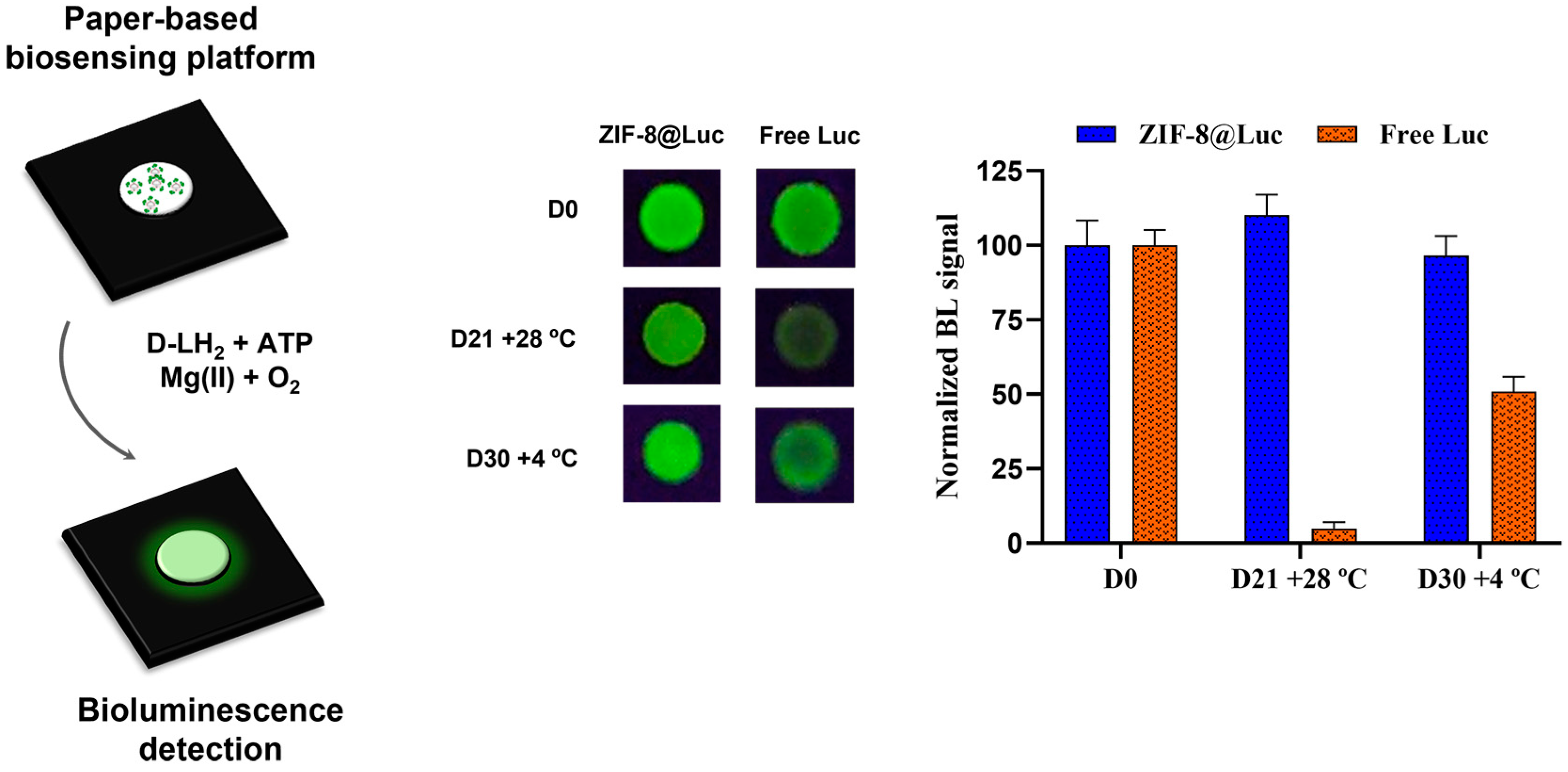 Biosensors 13 00451 g001 Biosensors 13 00451 g001