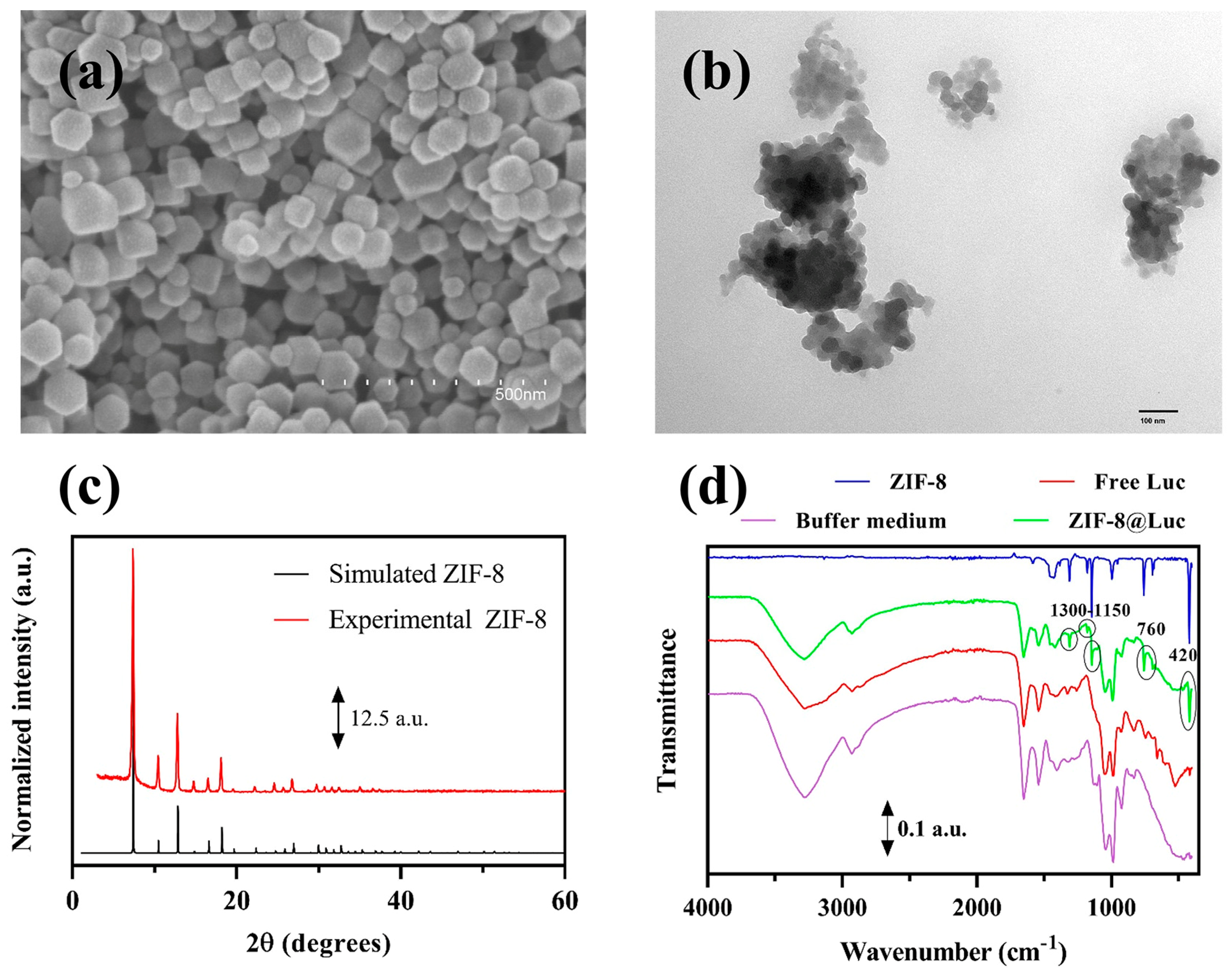 Biosensors 13 00451 g002 Biosensors 13 00451 g002