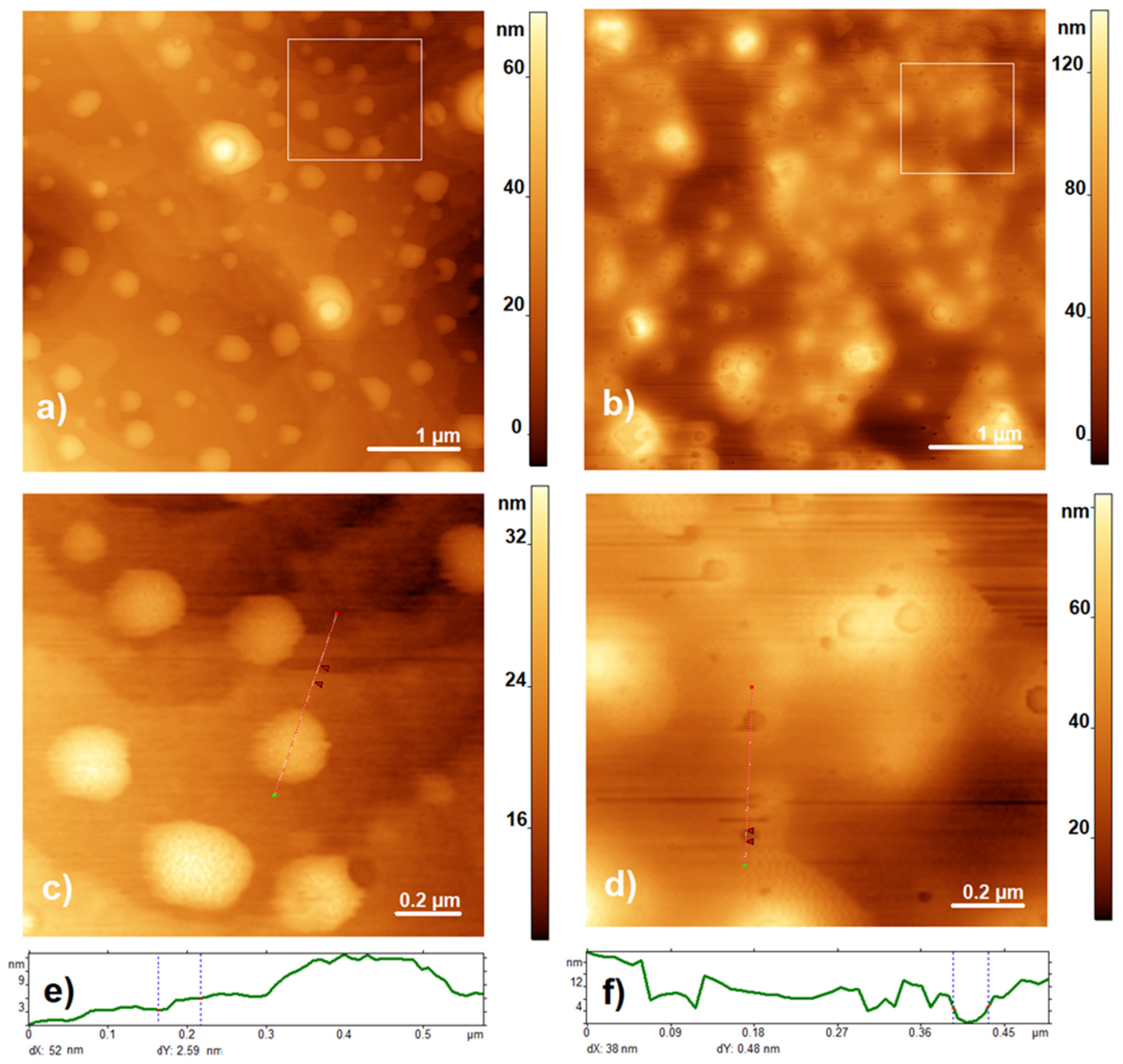 Biosensors 13 00457 g001
