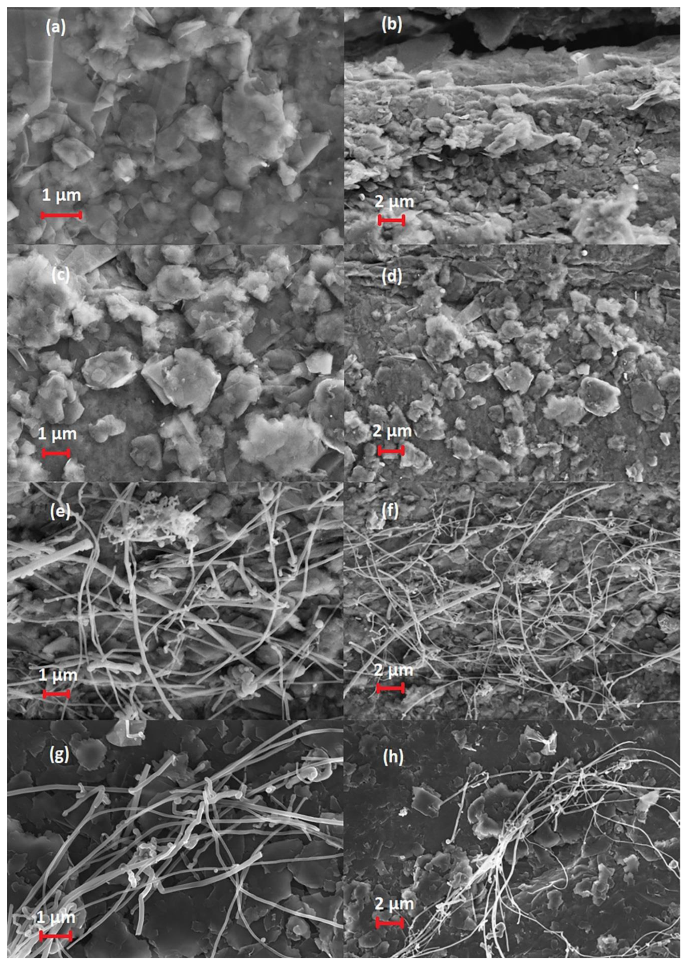 Biosensors 13 00458 g001