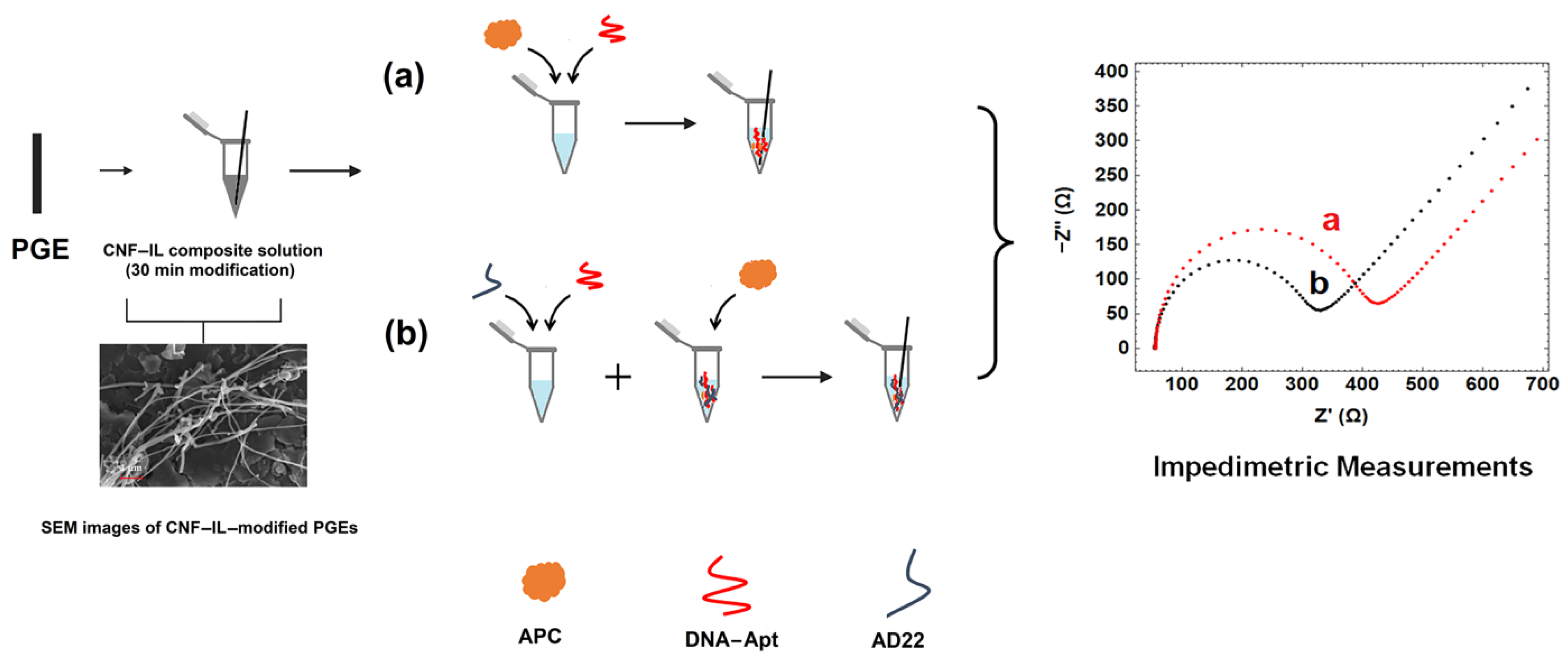 Biosensors 13 00458 sch001