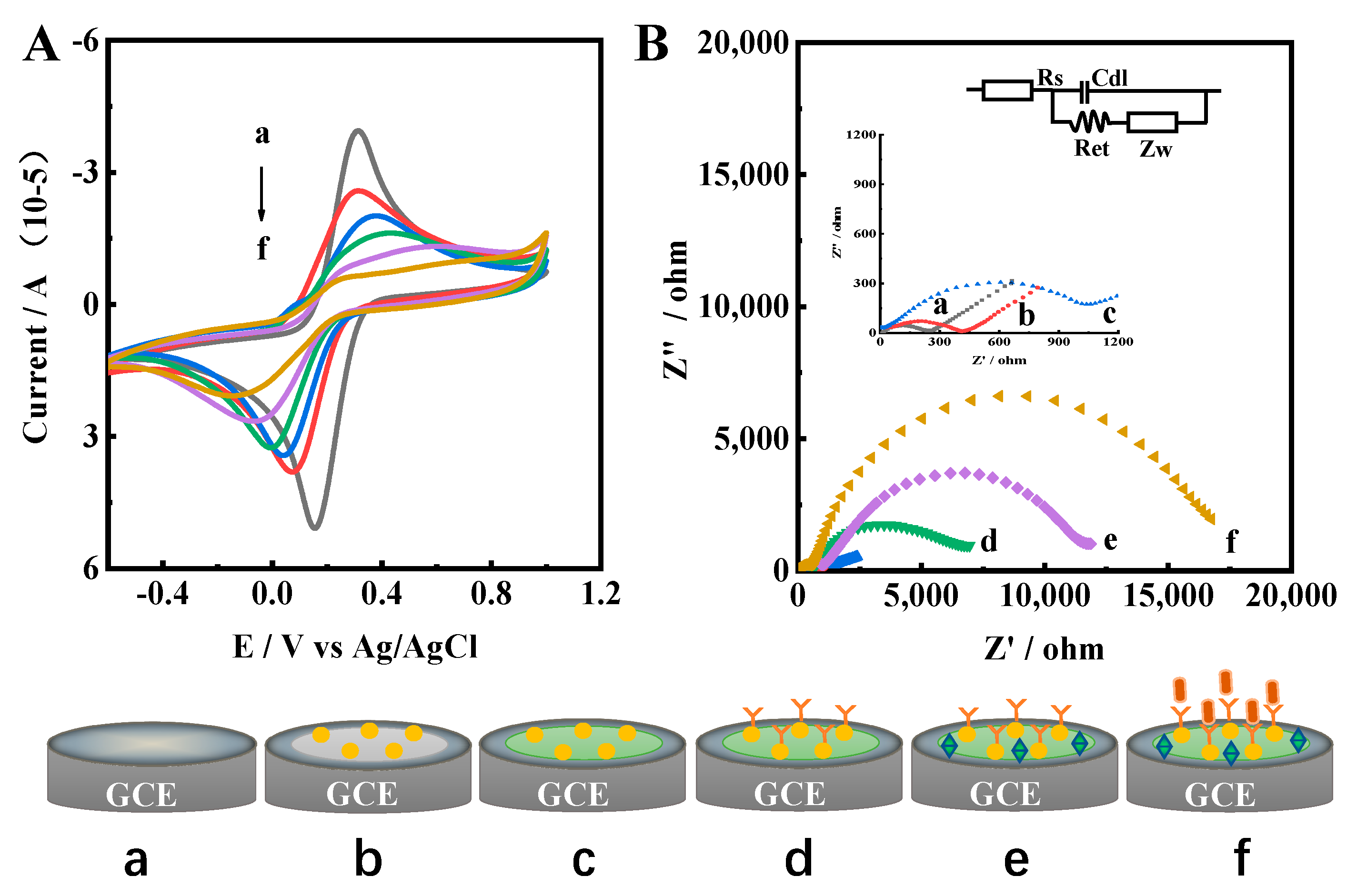 Biosensors 13 00459 g003