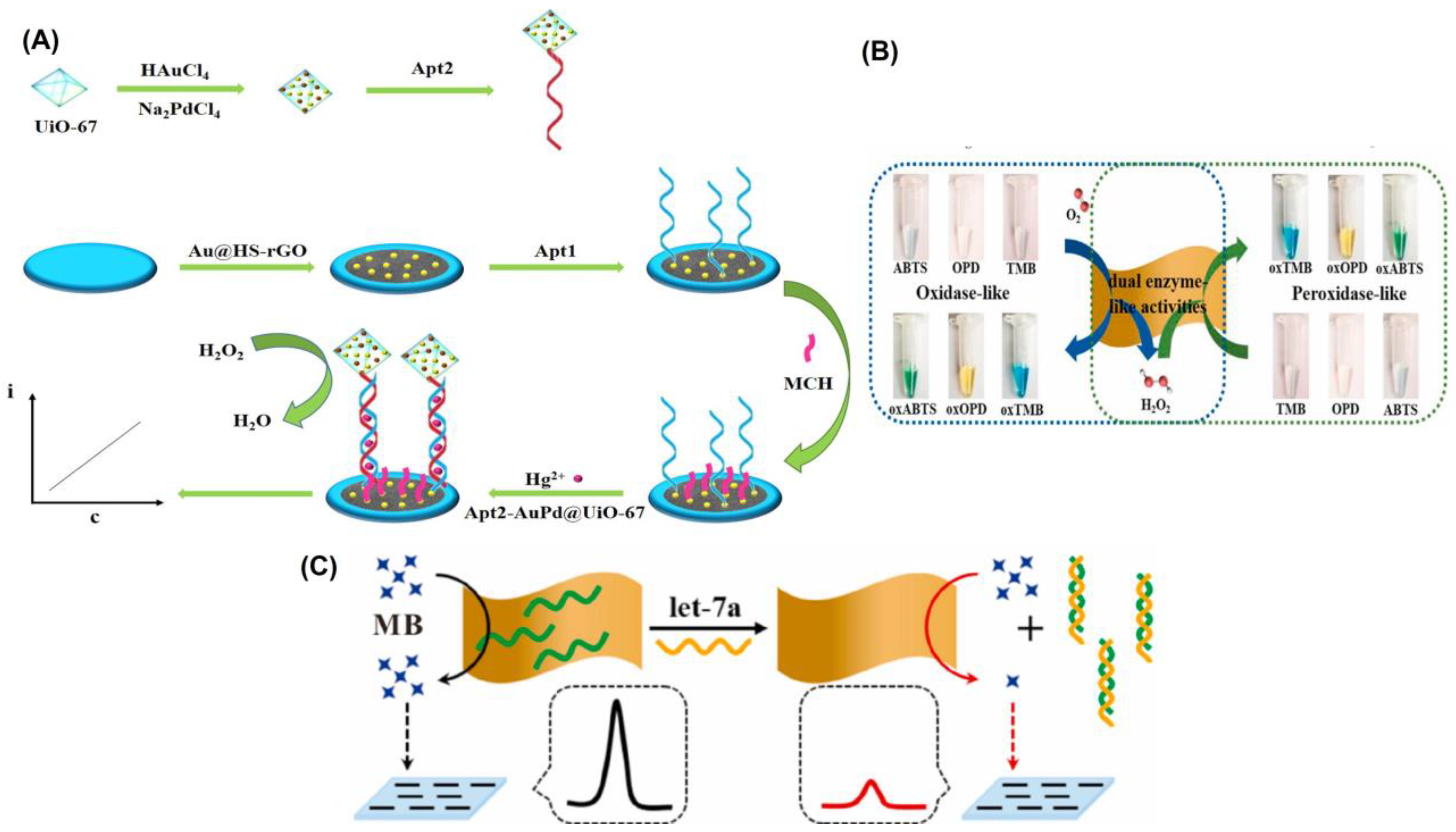 Biosensors 13 00461 g005 Biosensors 13 00461 g005