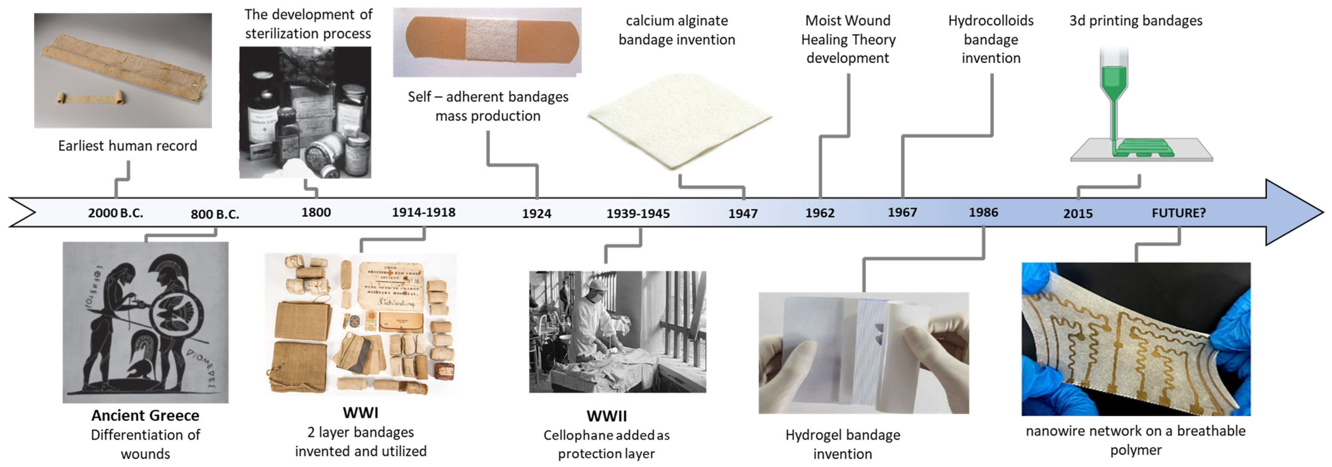 Biosensors 13 00462 g002 Biosensors 13 00462 g002