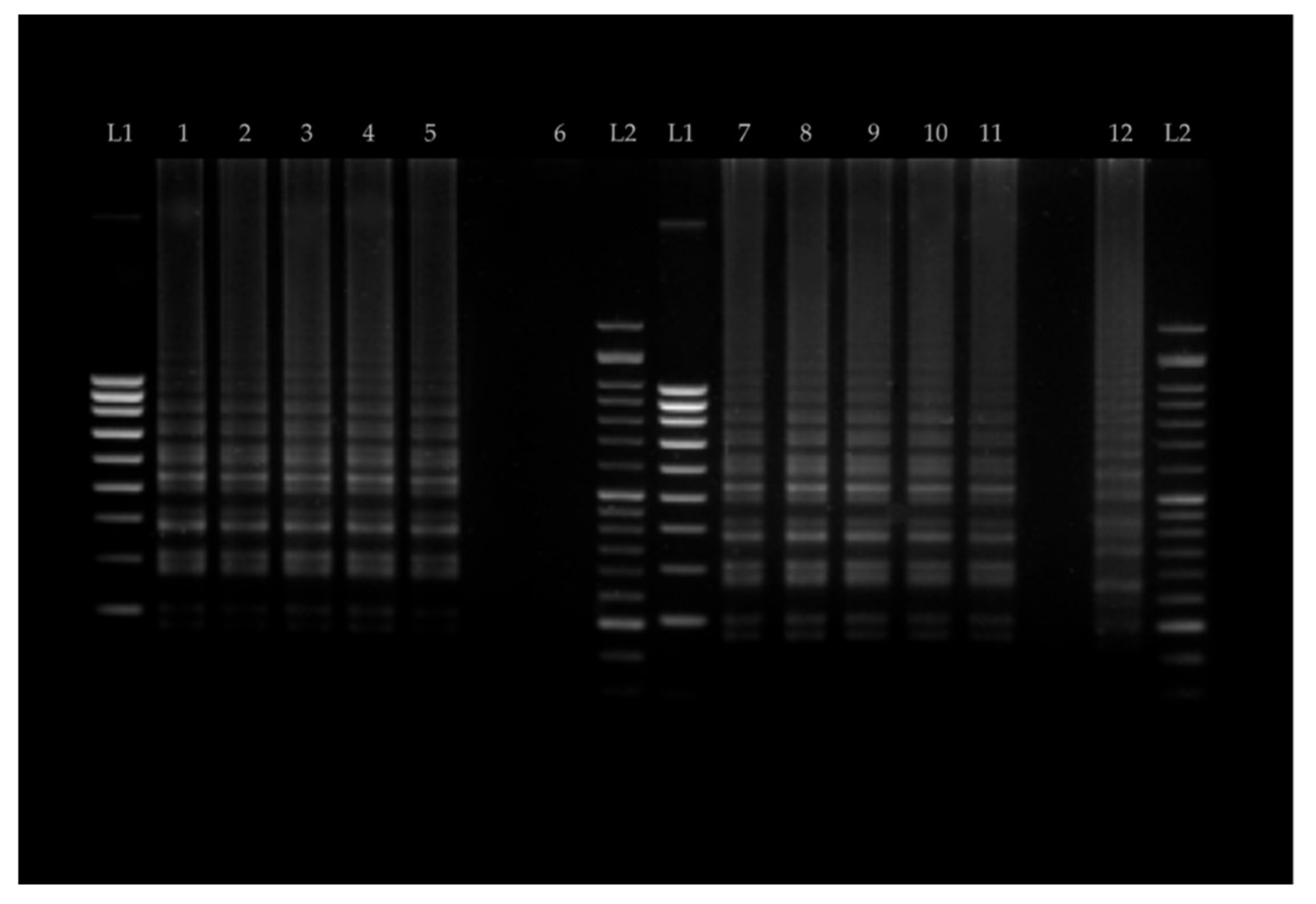 Biosensors 13 00464 g006