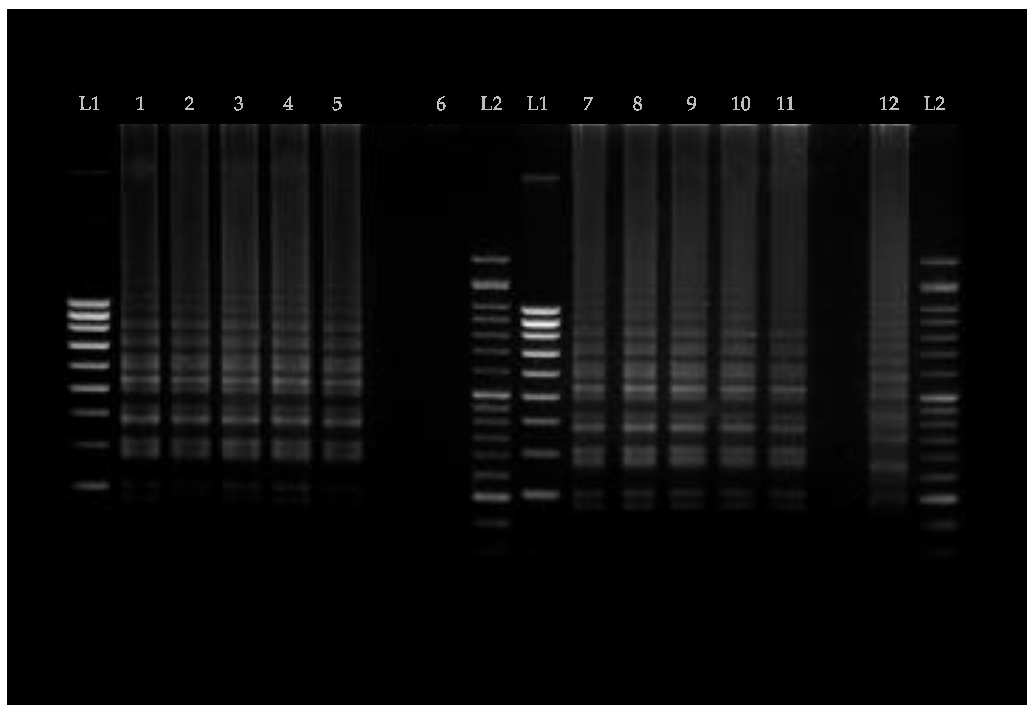 Biosensors 13 00464 g008