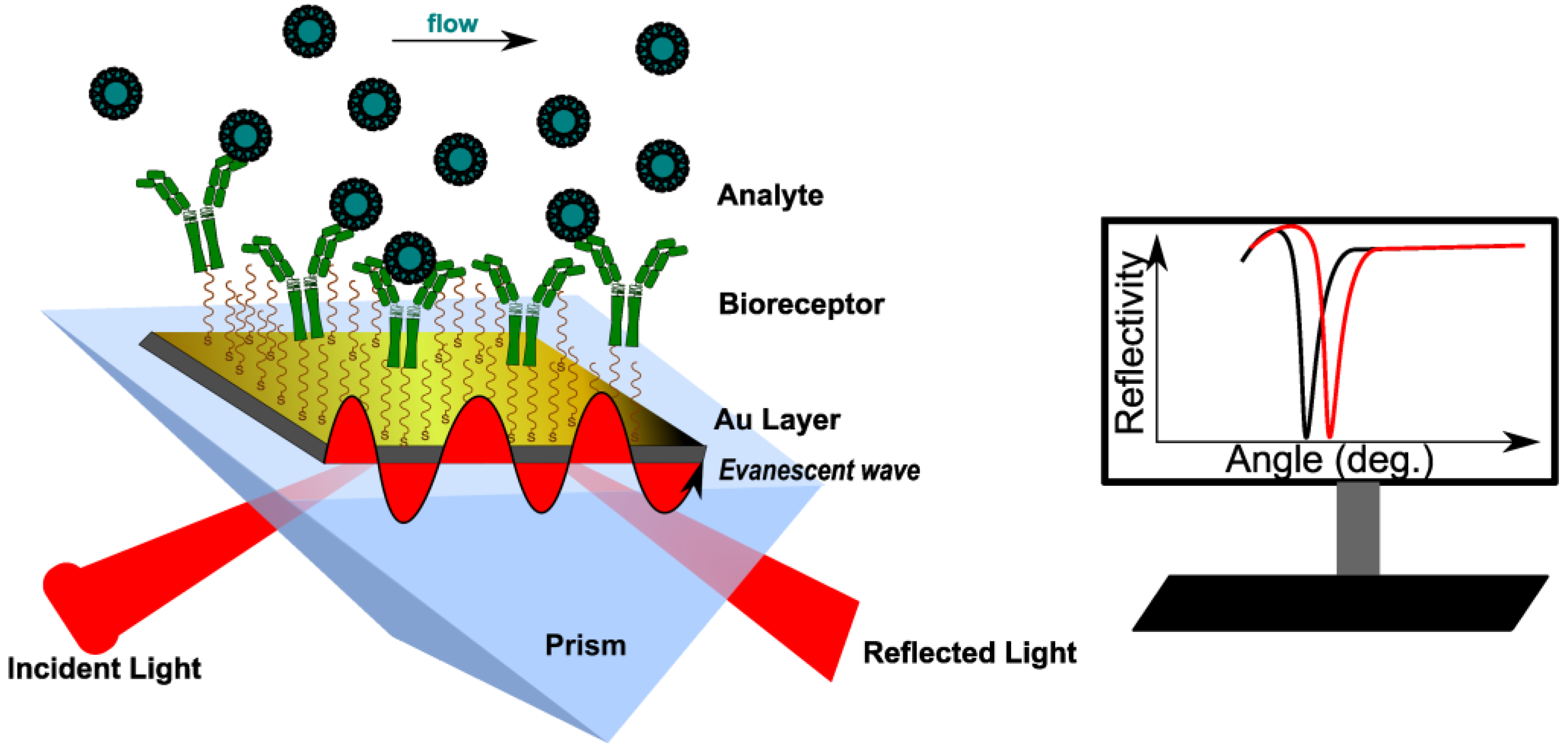 Optimizing Drug Discovery: Surface Plasmon Resonance Techniques