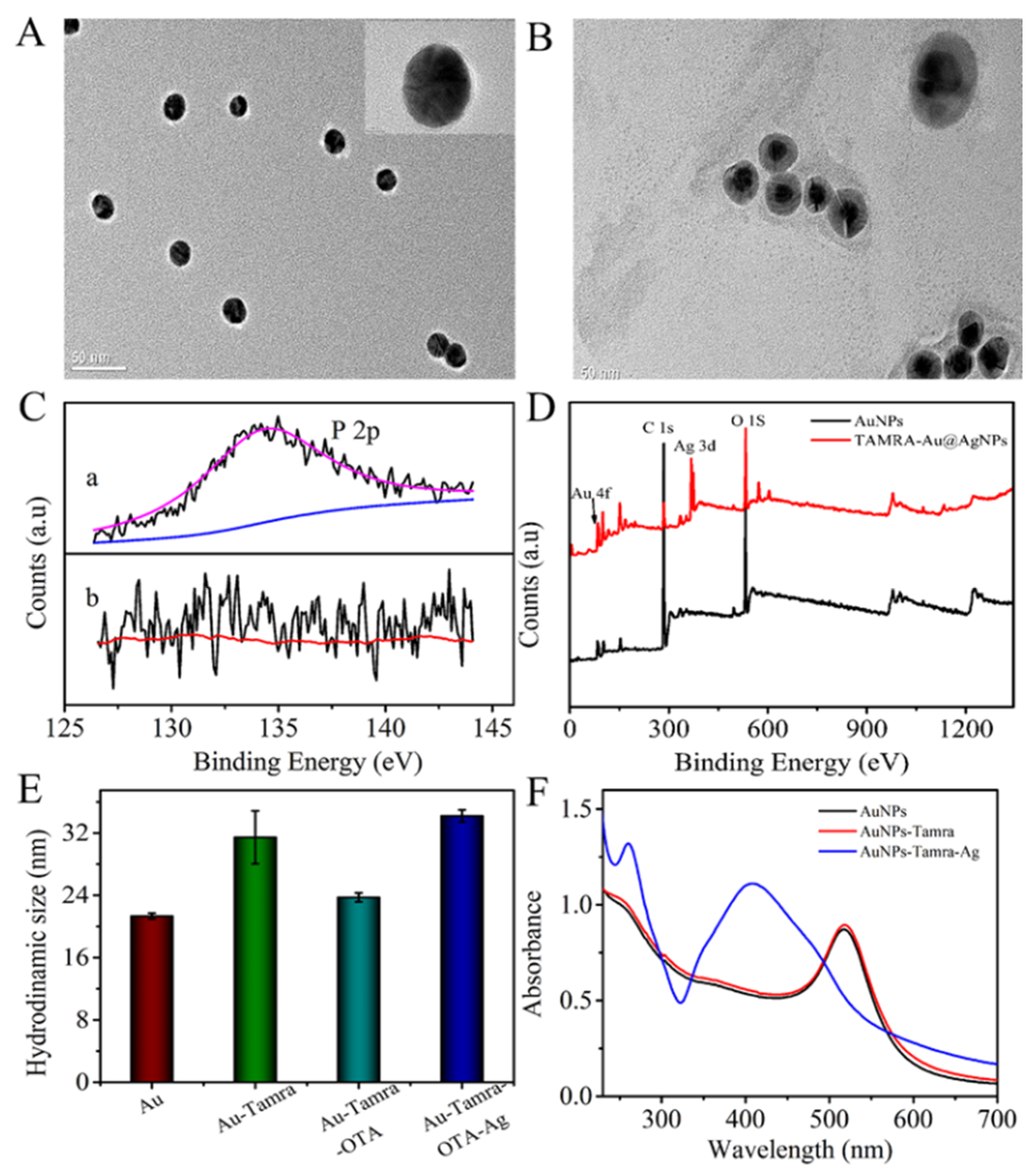 Biosensors 13 00468 g001 Biosensors 13 00468 g001