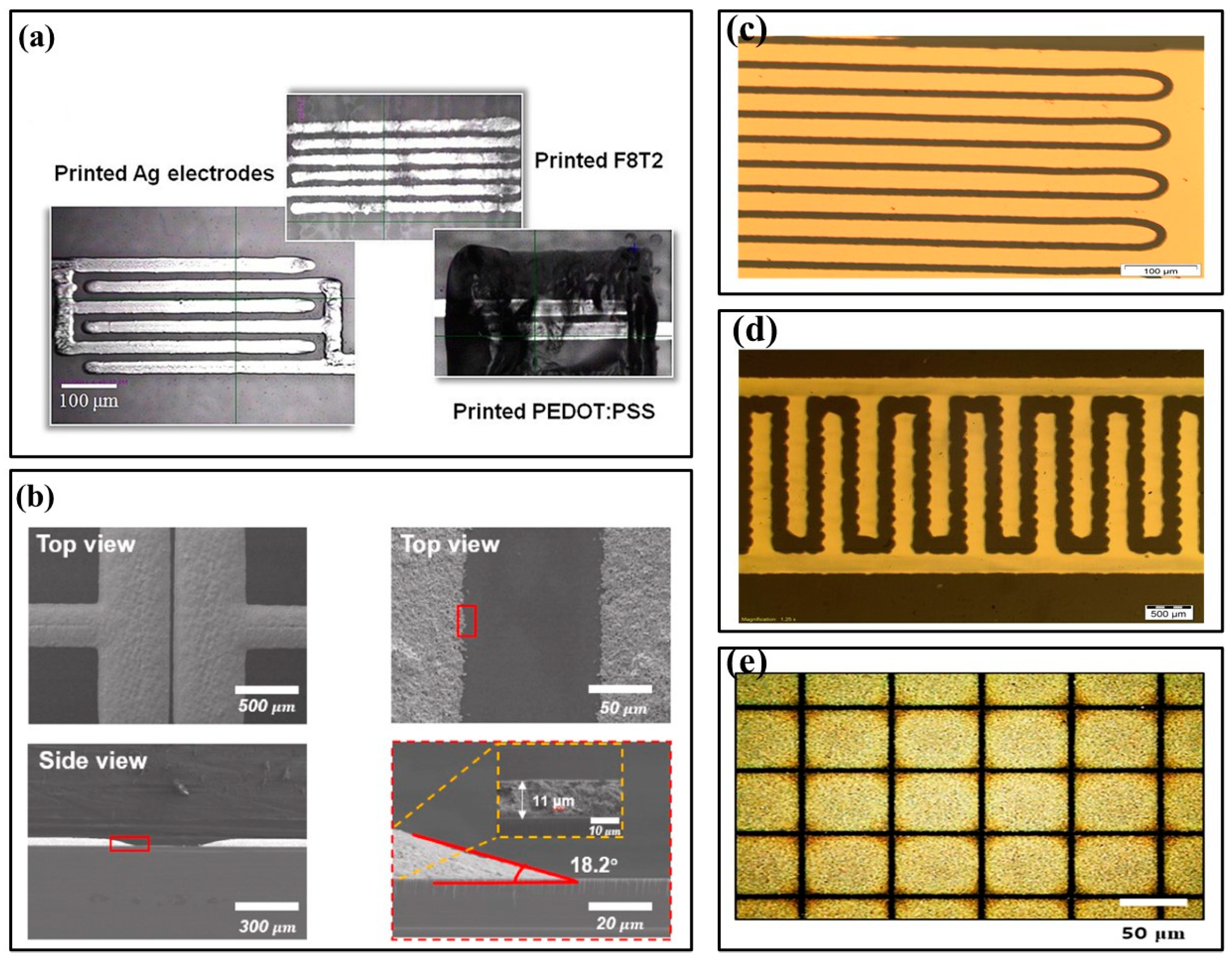 Biosensors 13 00469 g002 Biosensors 13 00469 g002