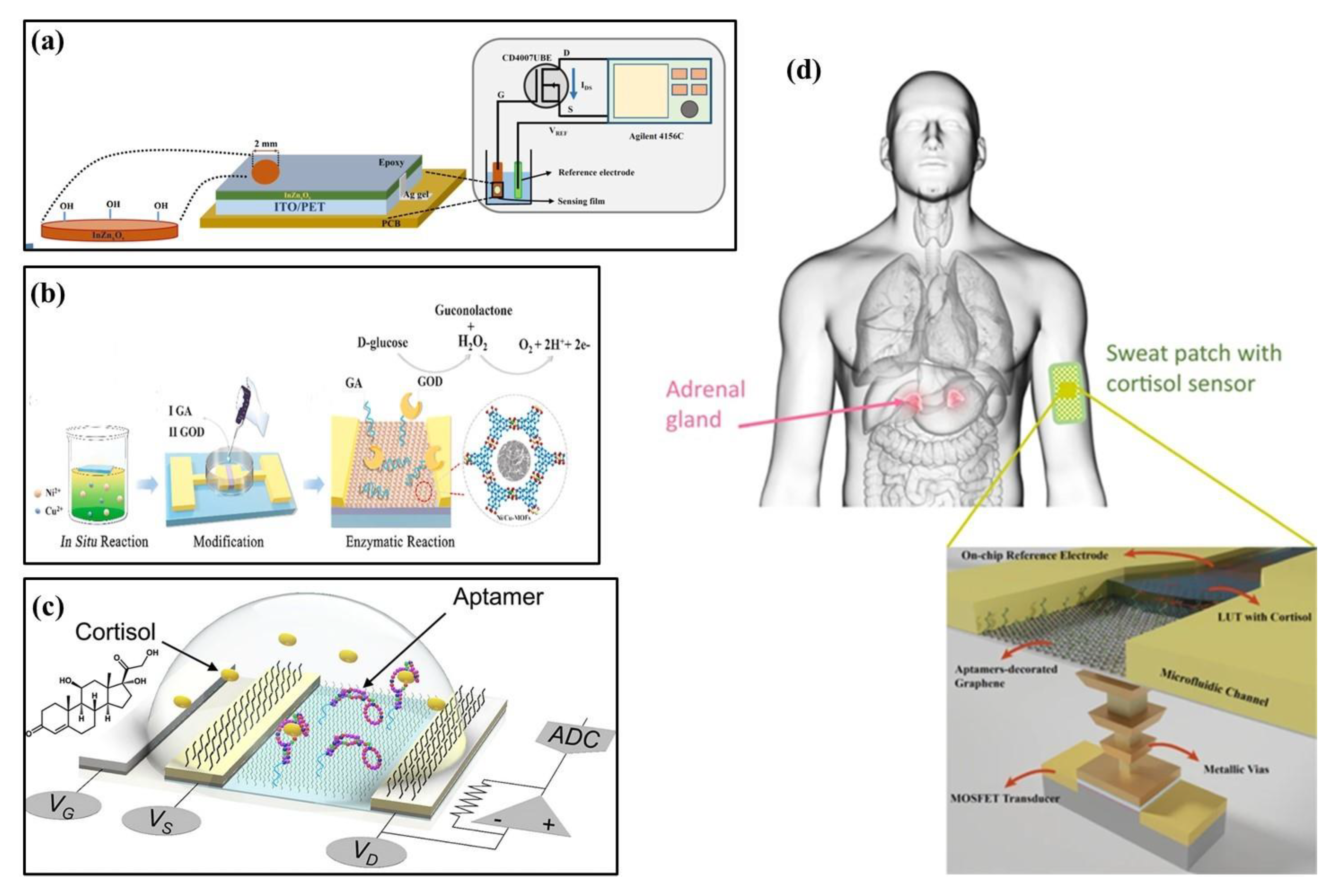 Biosensors 13 00469 g003 Biosensors 13 00469 g003