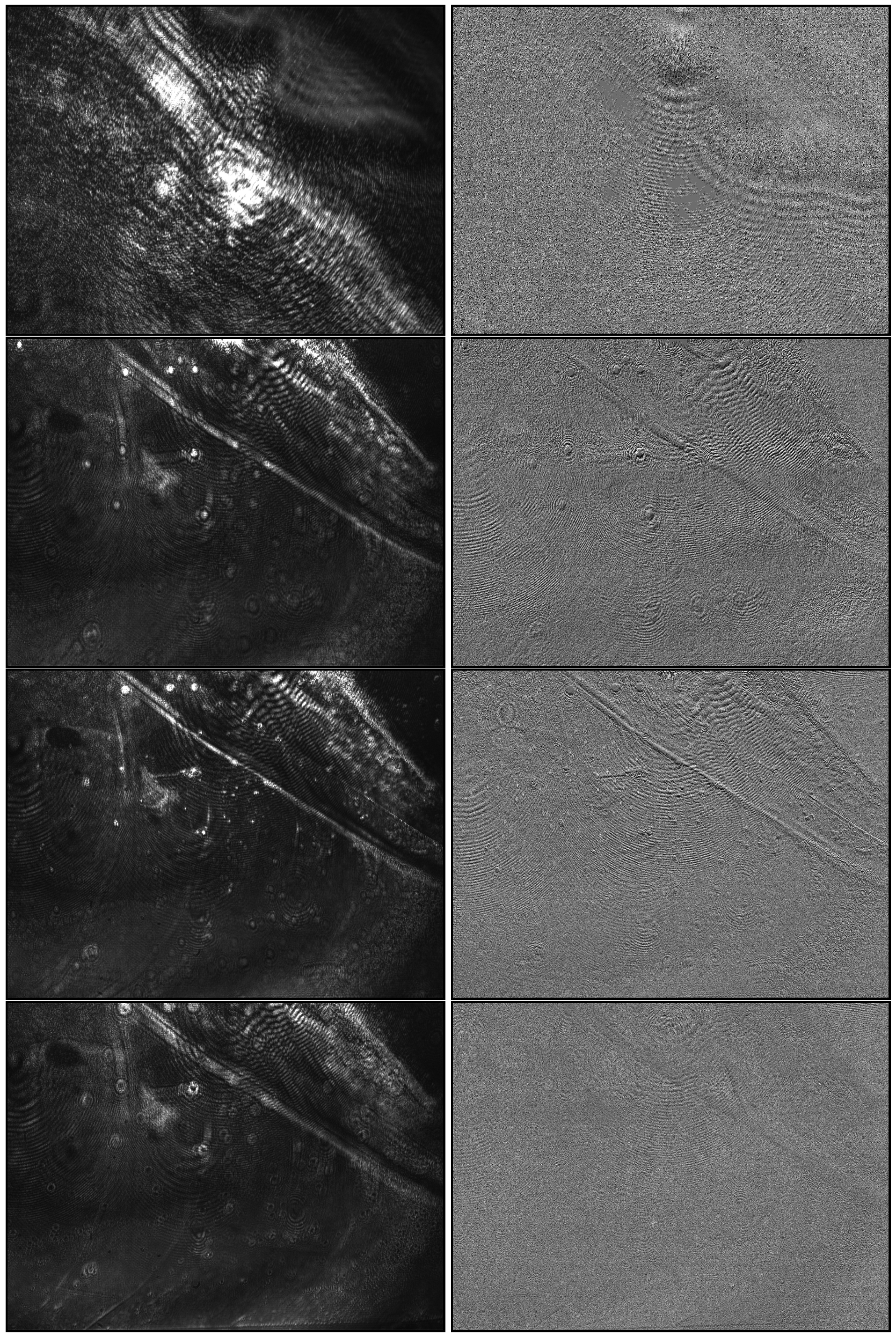 Biosensors 13 00472 g008