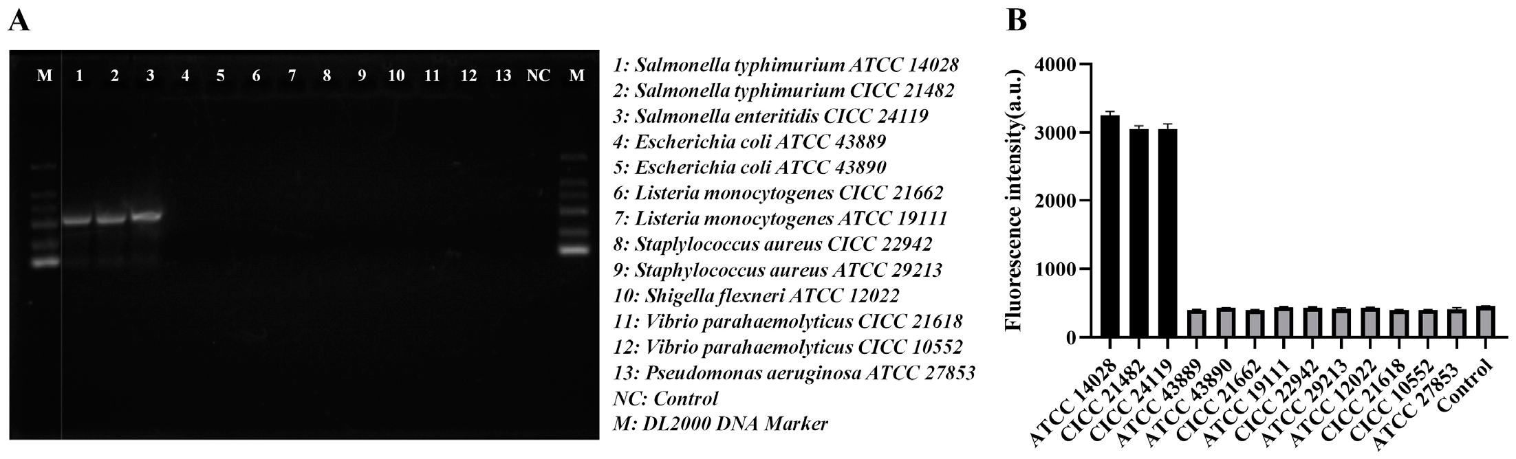 Biosensors 13 00475 g006 Biosensors 13 00475 g006