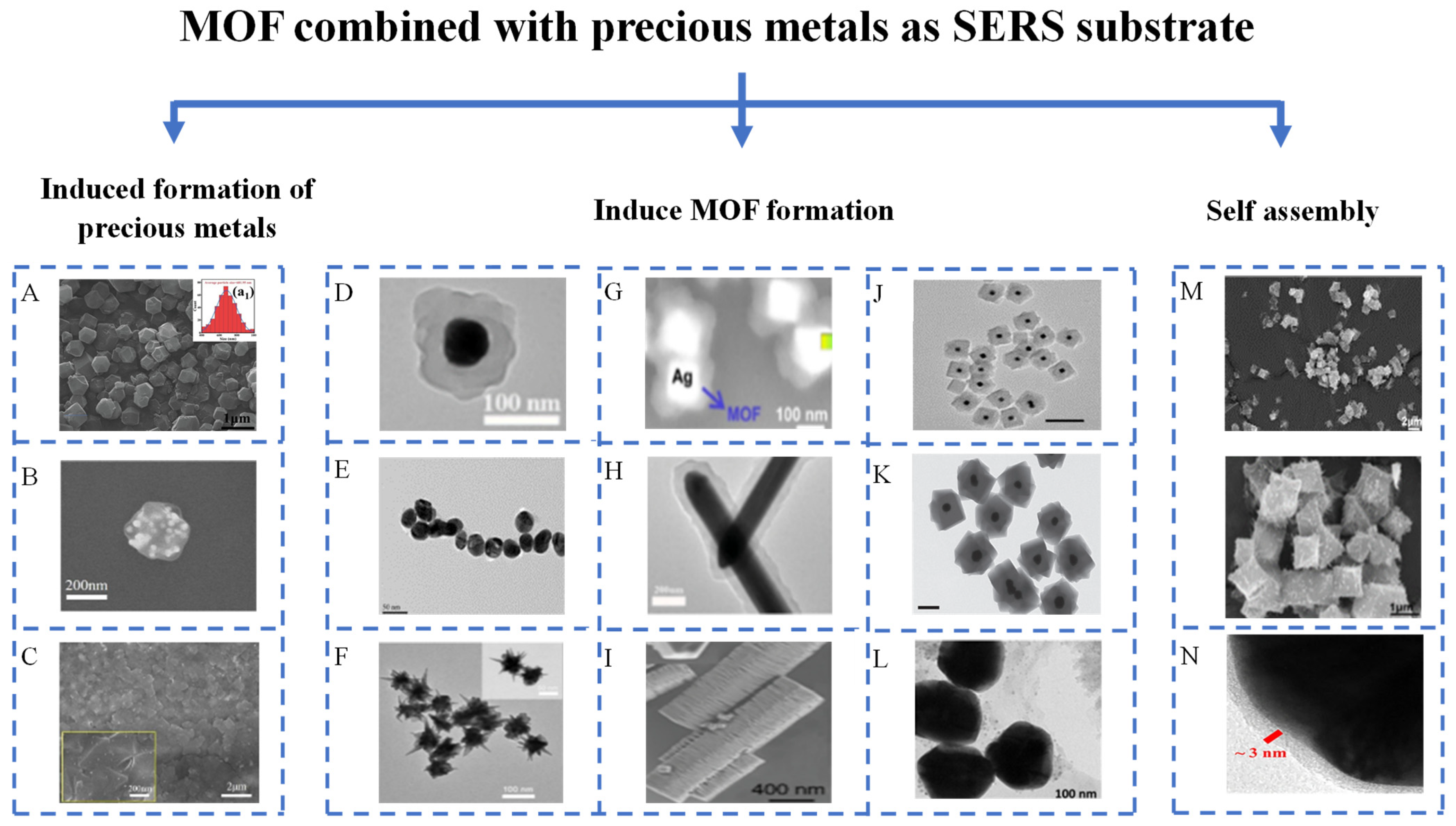 Recent Progress in the Application of Metal Organic