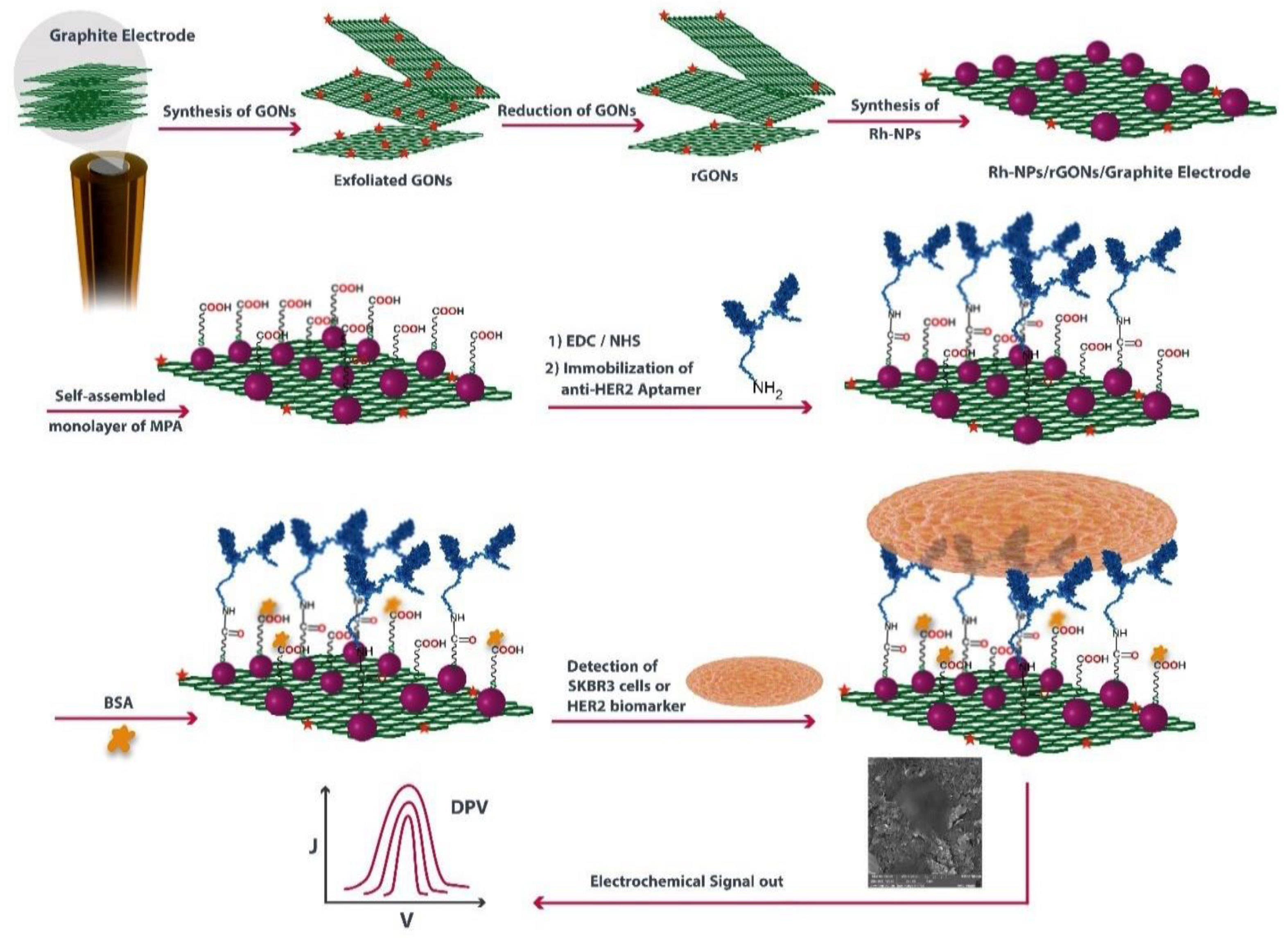 Biosensors 13 00481 g004 Biosensors 13 00481 g004