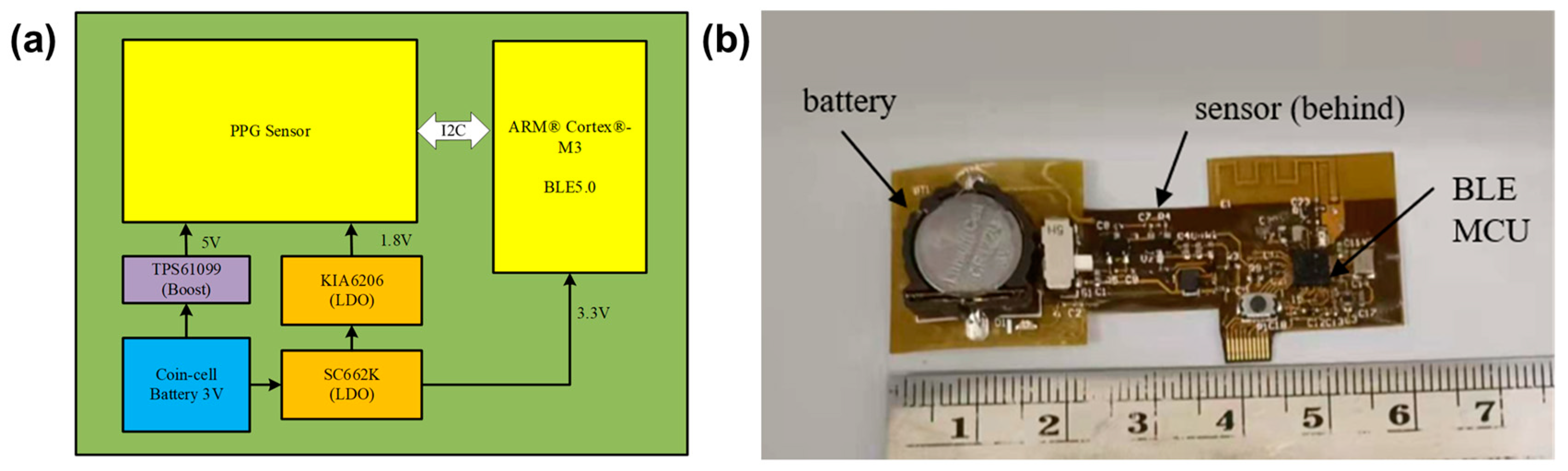 Biosensors 13 00483 g001