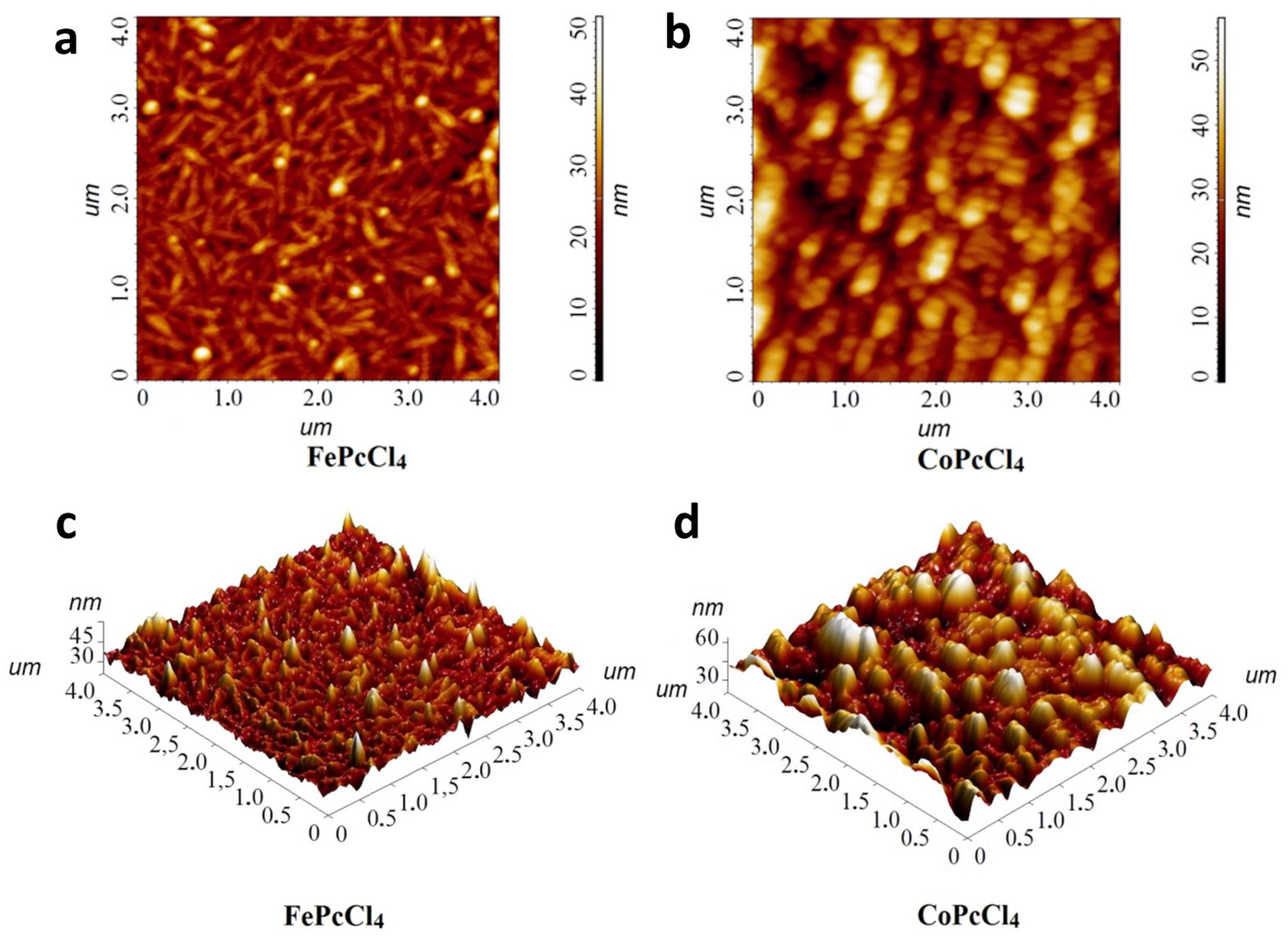 Biosensors 13 00484 g010