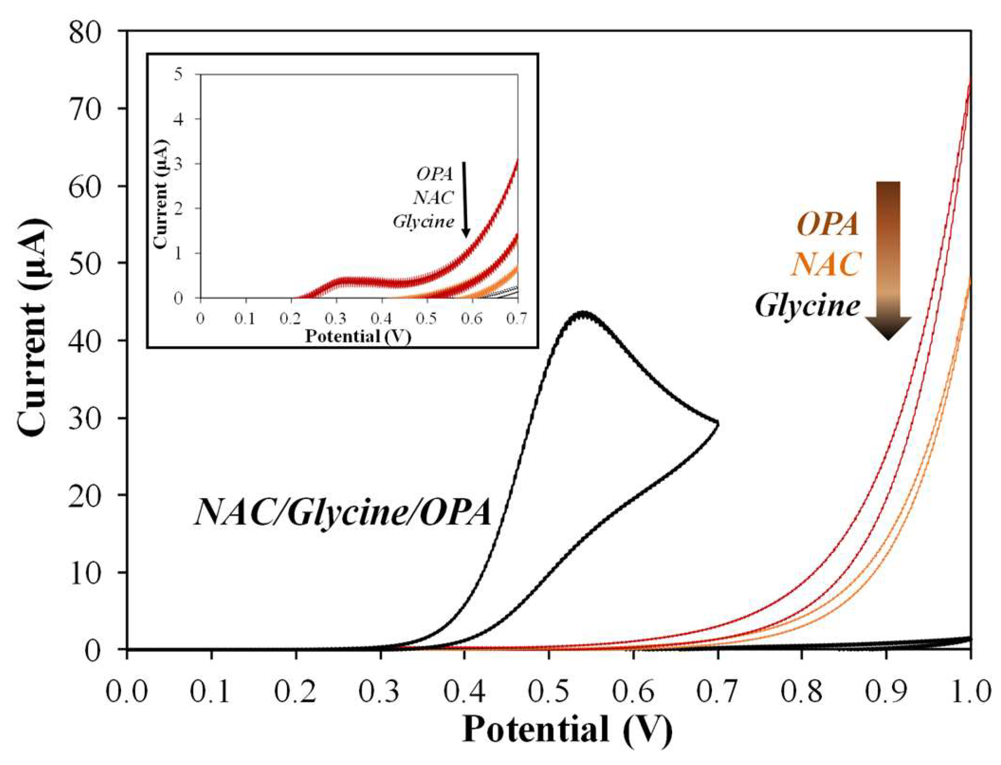 Biosensors 13 00485 g002