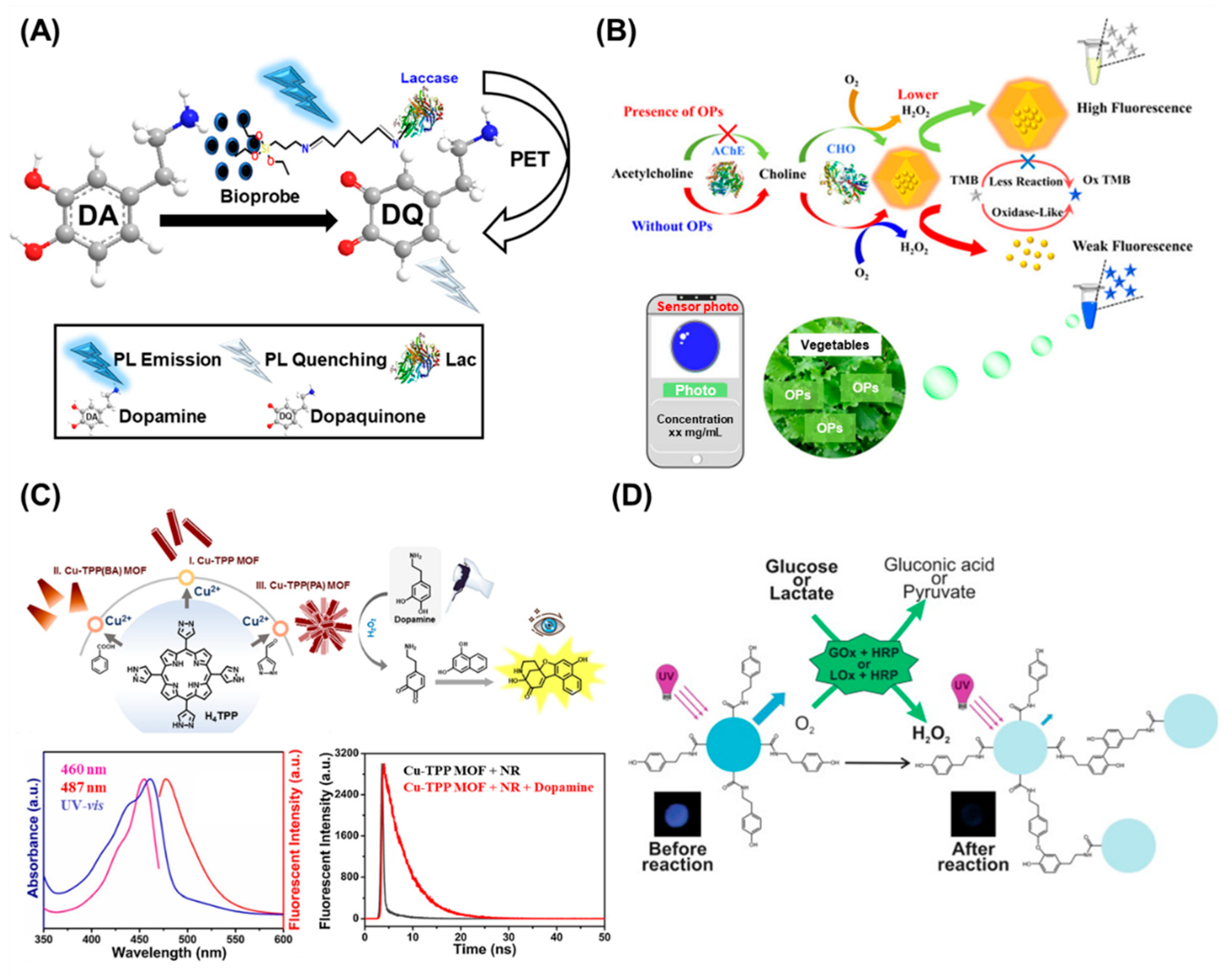 Biosensors 13 00492 g005 Biosensors 13 00492 g005