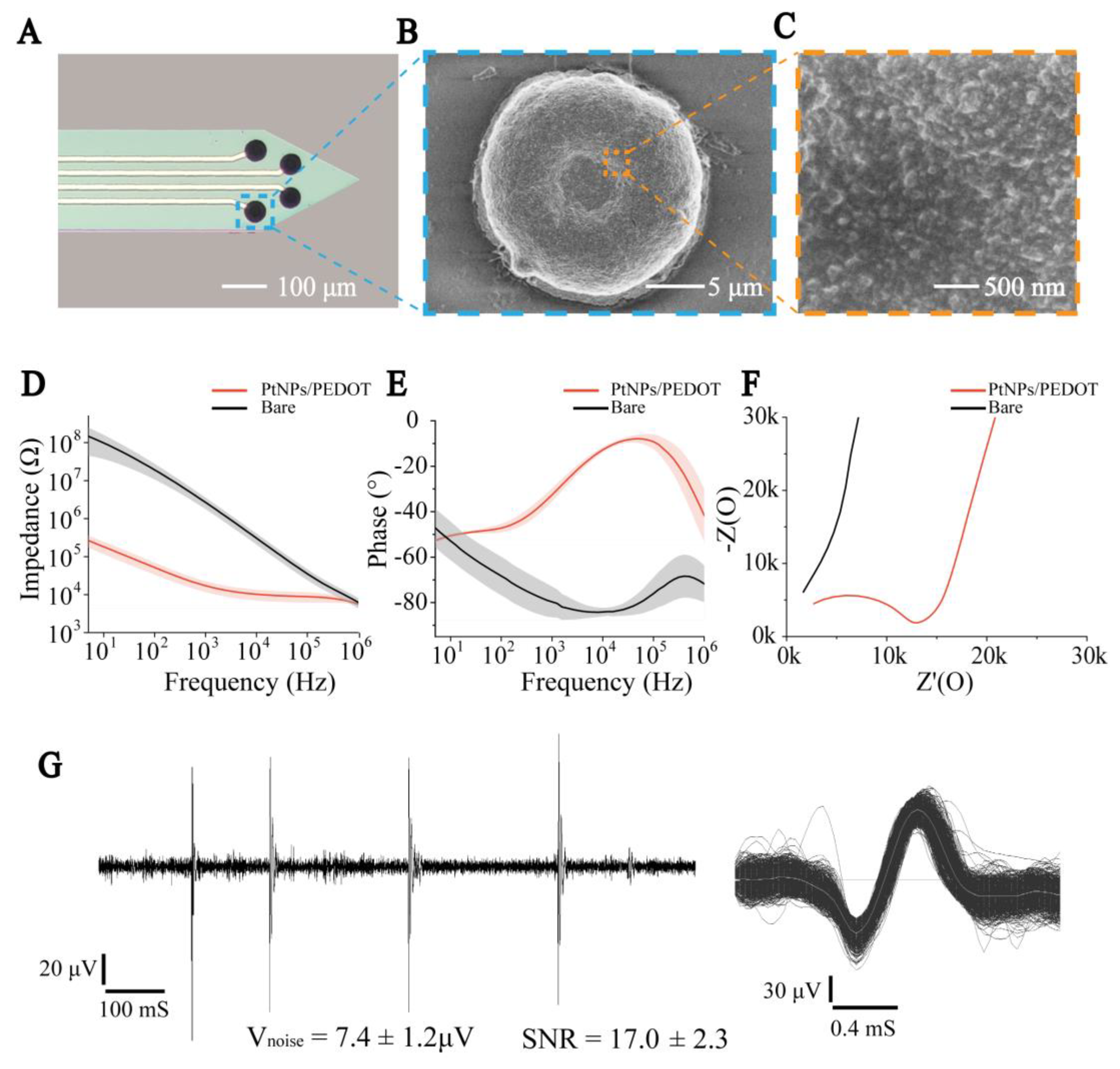 Biosensors 13 00496 g002 Biosensors 13 00496 g002