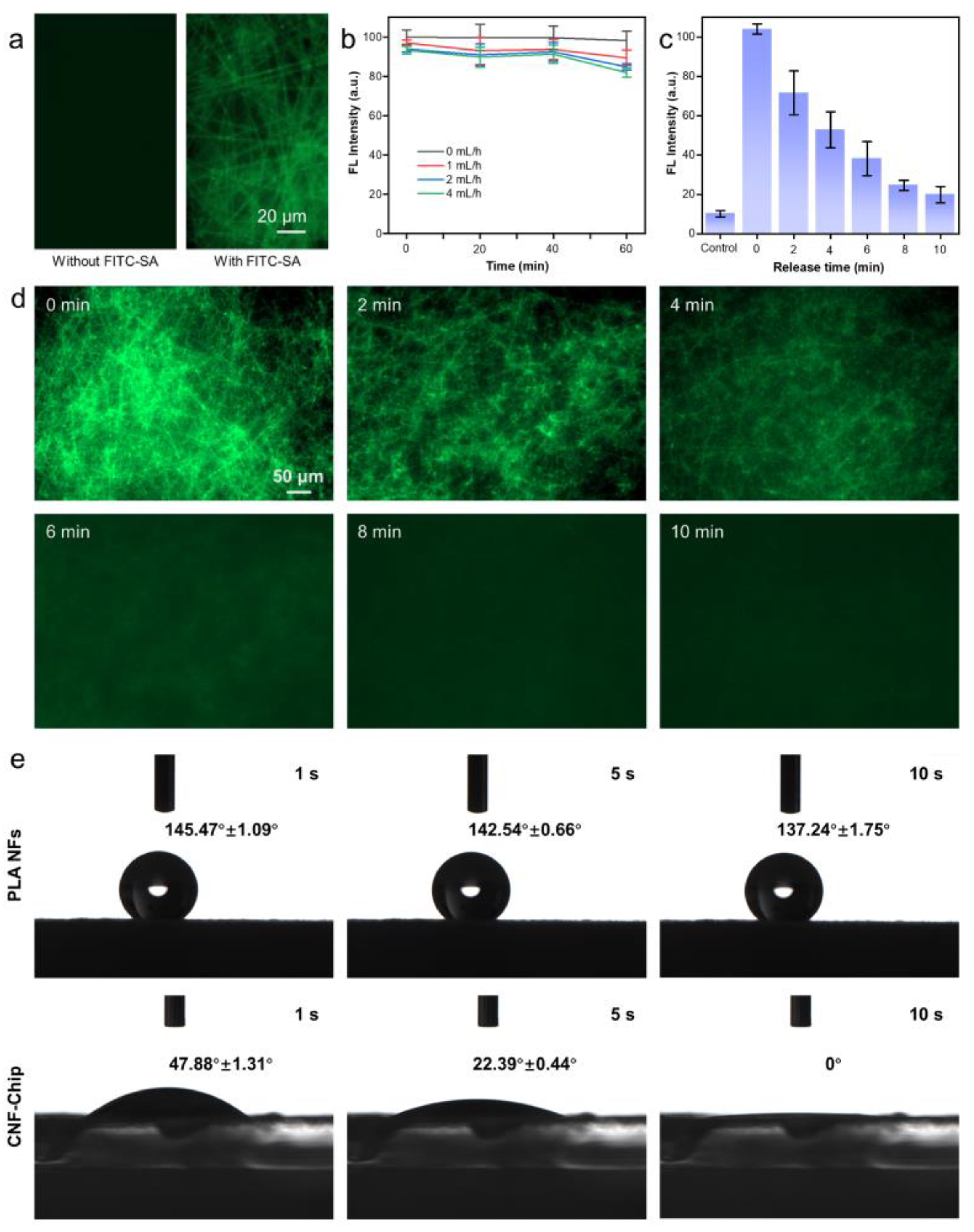 Biosensors 13 00497 g003